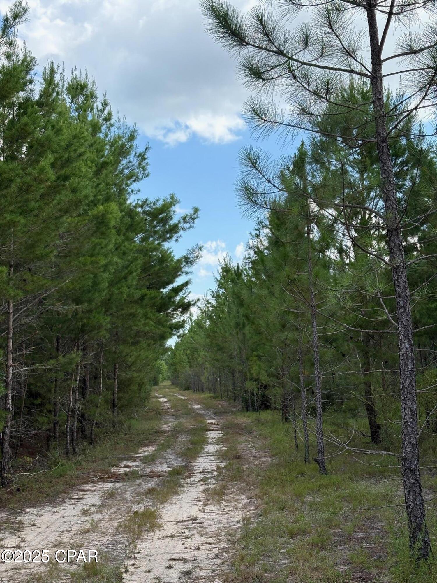 Image 10 For 000 Duck Pond Road