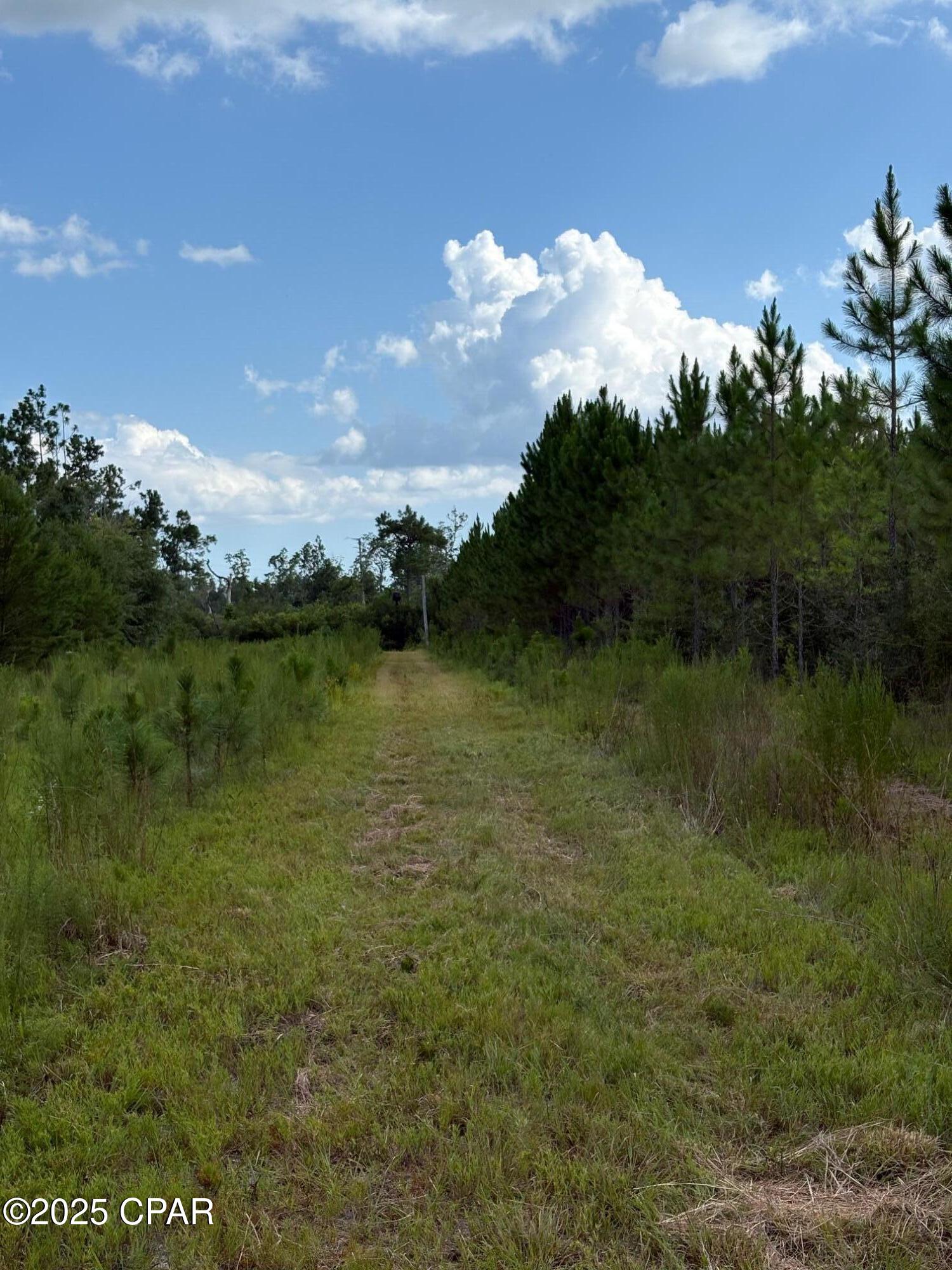 Image 11 For 000 Duck Pond Road