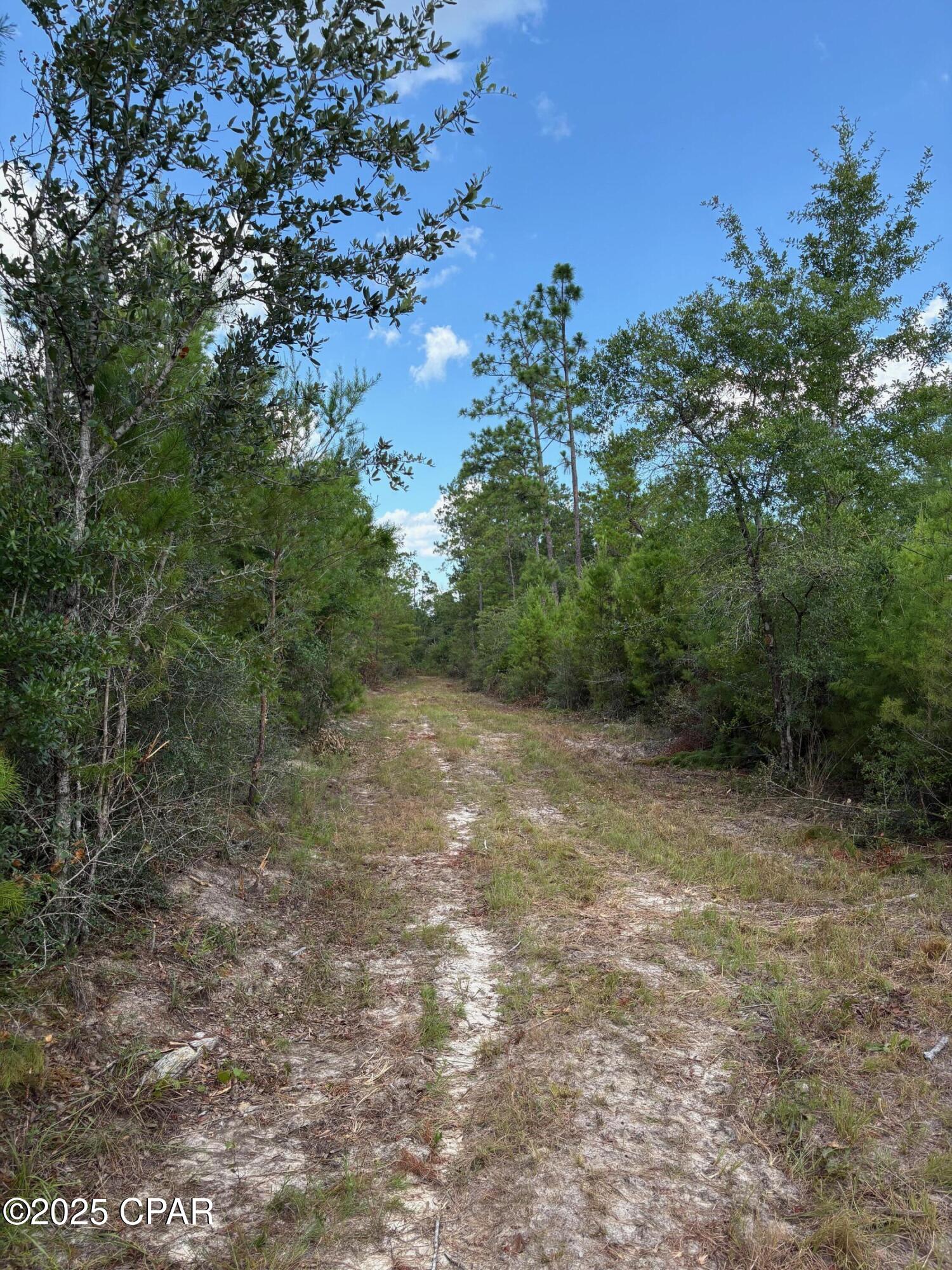 Image 12 For 000 Duck Pond Road