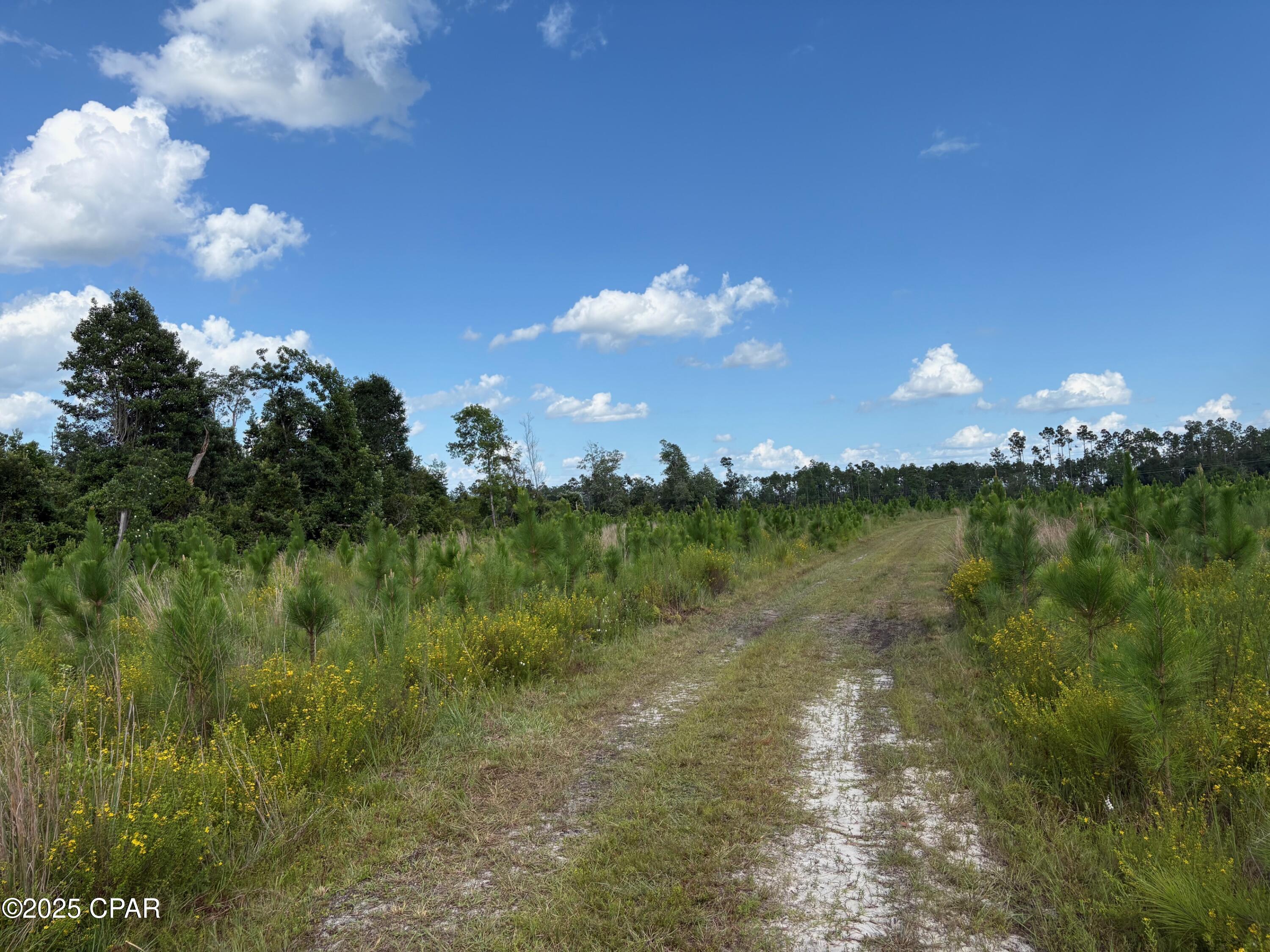 Image 2 For 000 Duck Pond Road