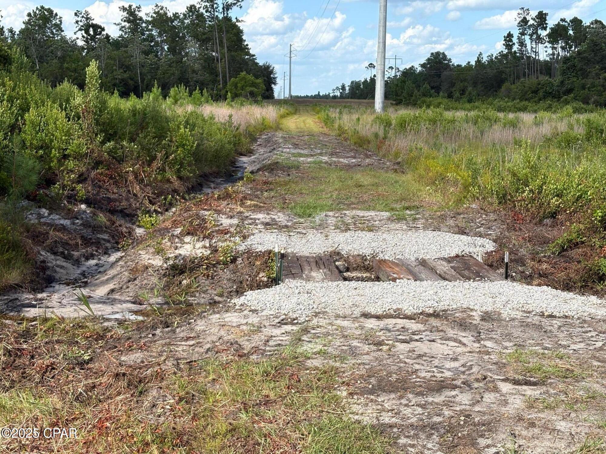 Image 4 For 000 Duck Pond Road