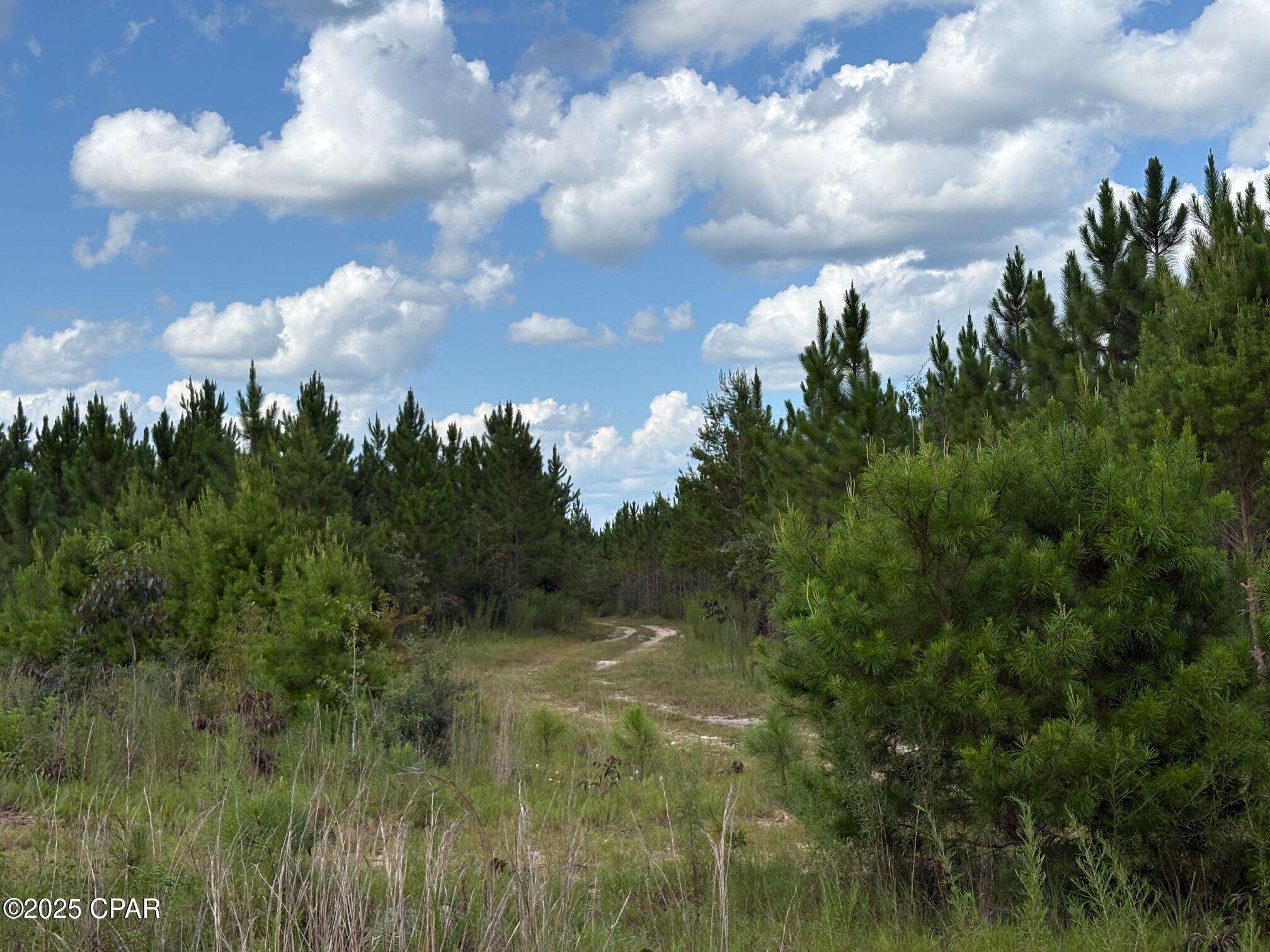 Image 6 For 000 Duck Pond Road