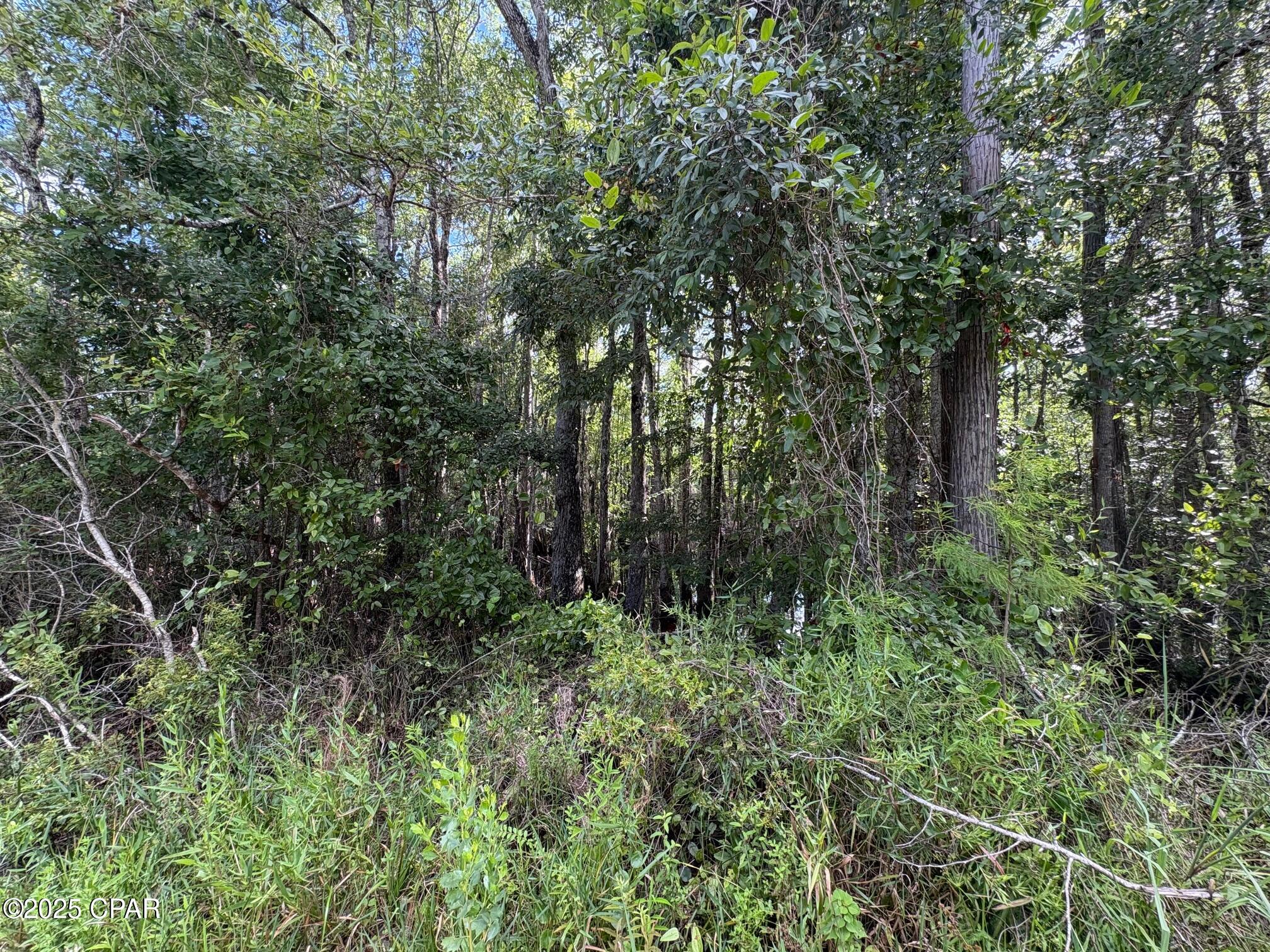 Image 8 For 000 Duck Pond Road