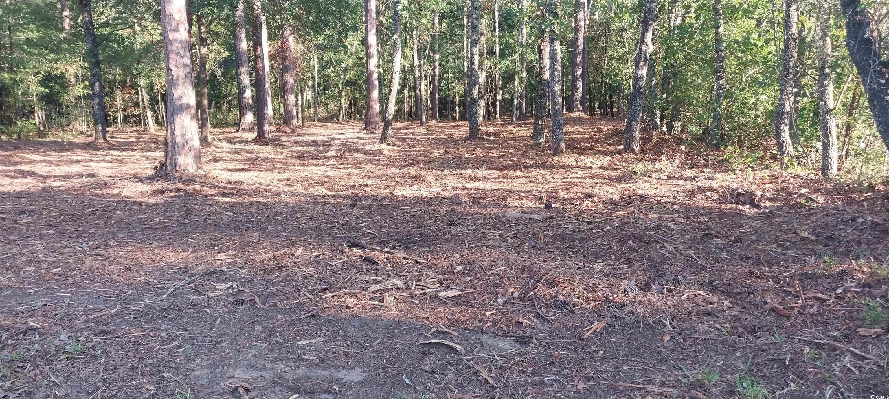 Lot1 Pee Dee School Rd. Marion, SC 29571