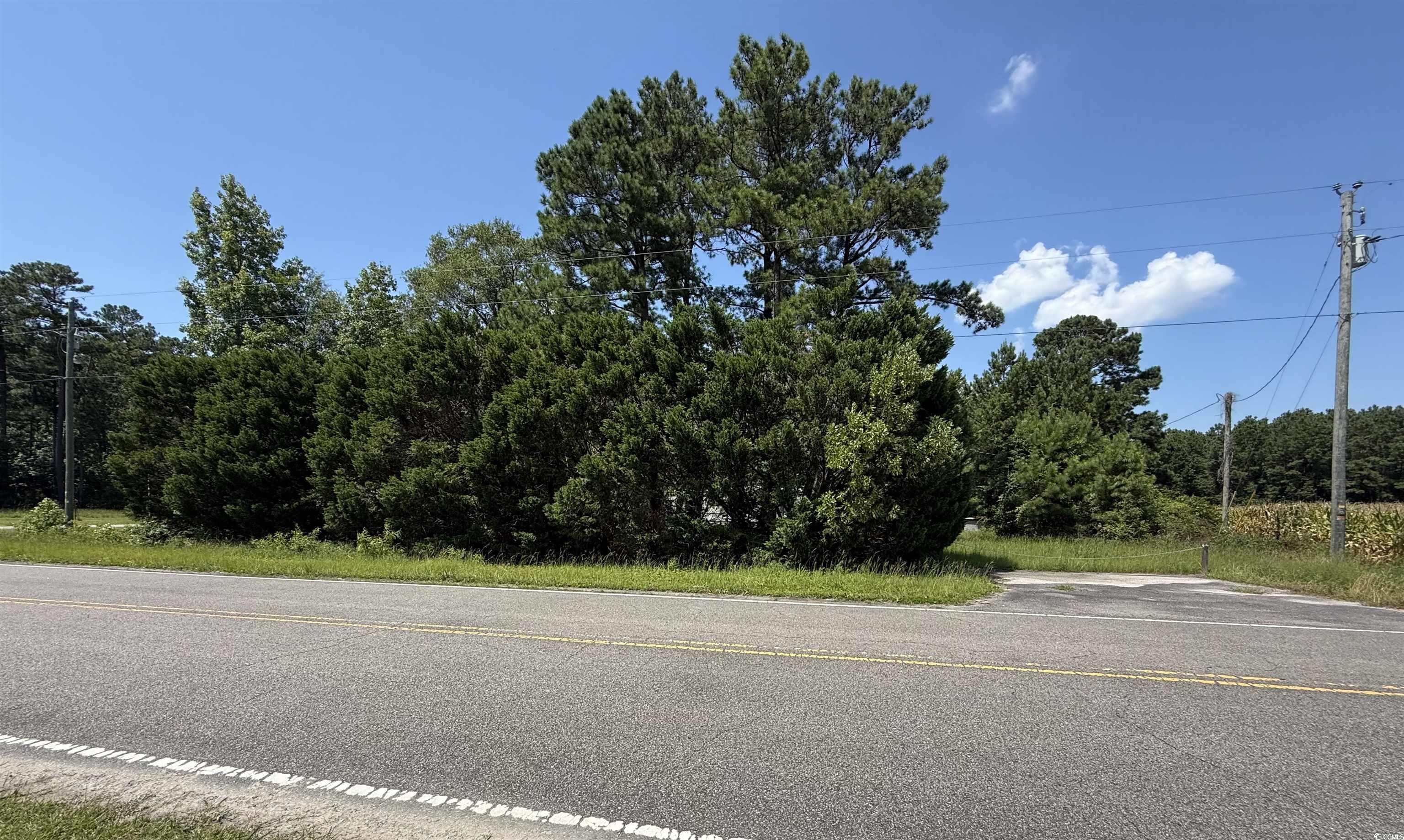 2187 Armview Rd. Loris, SC 29569
