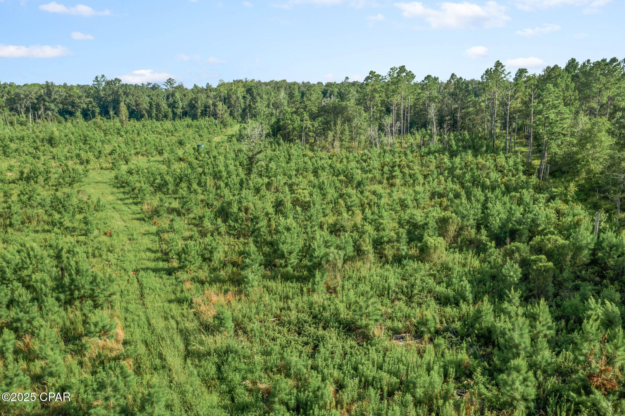 Image 19 For Xxx Birch Road (west 20)