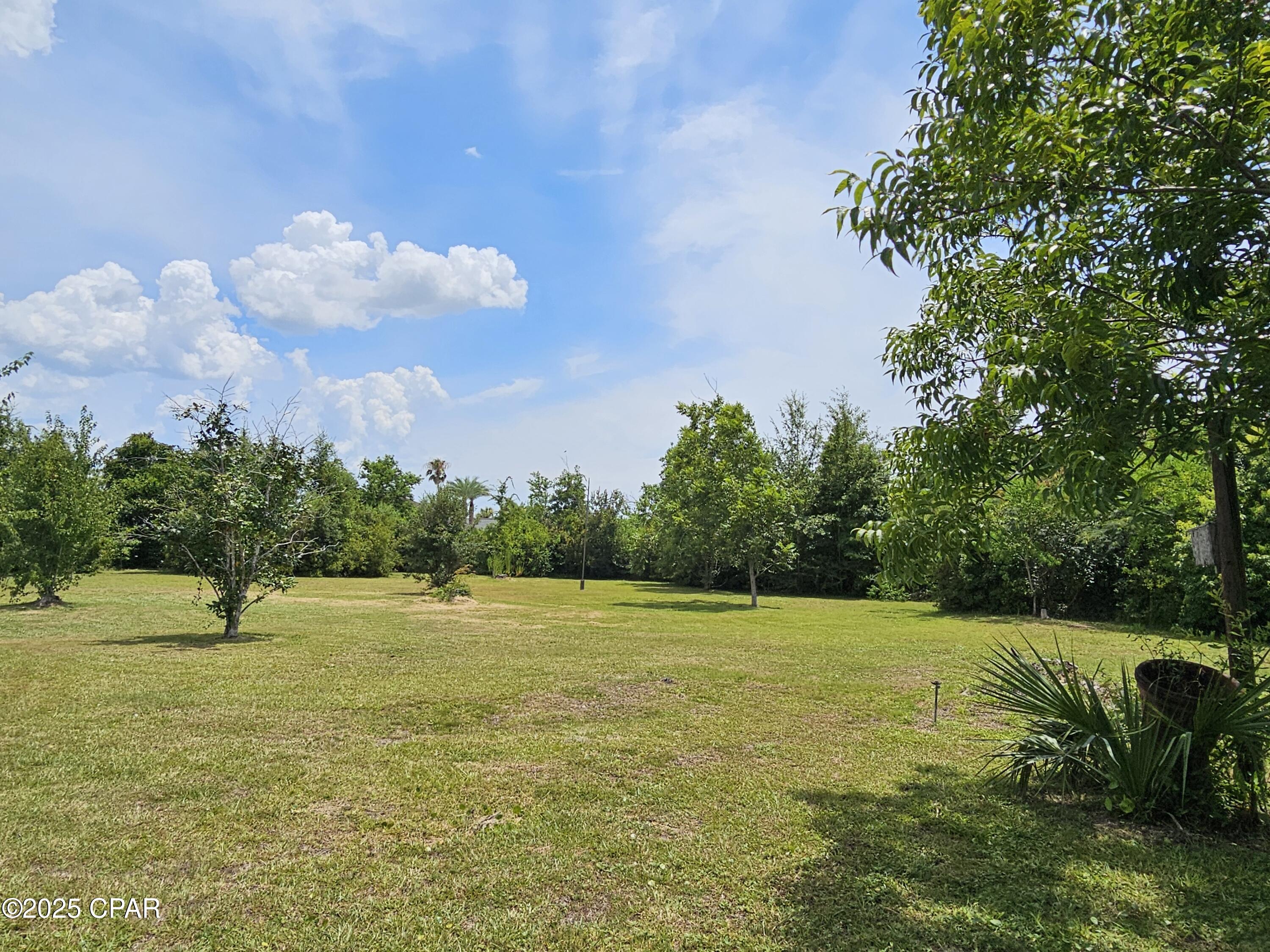 Image 12 For 31 Baldwin Road