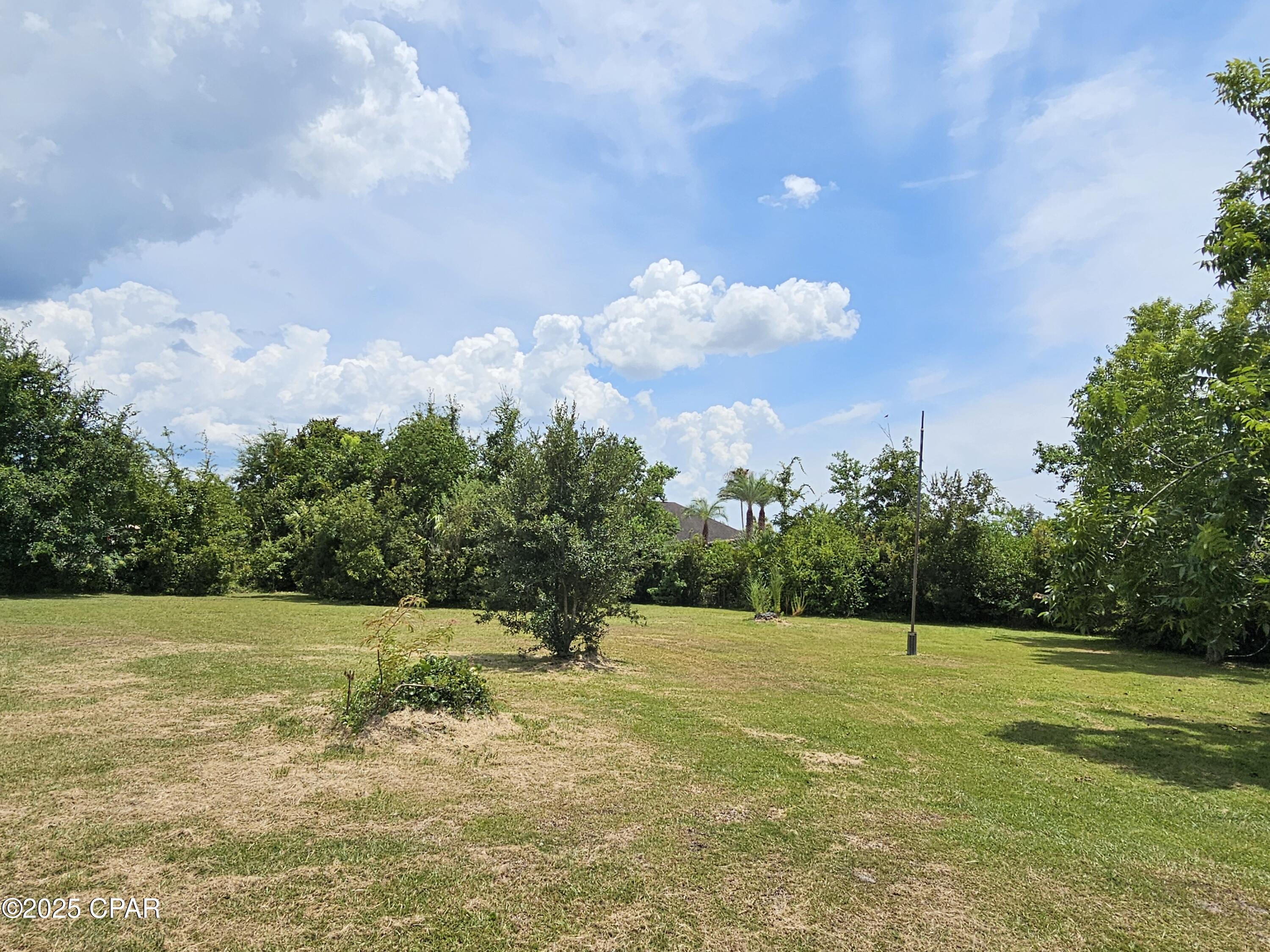 Image 14 For 31 Baldwin Road