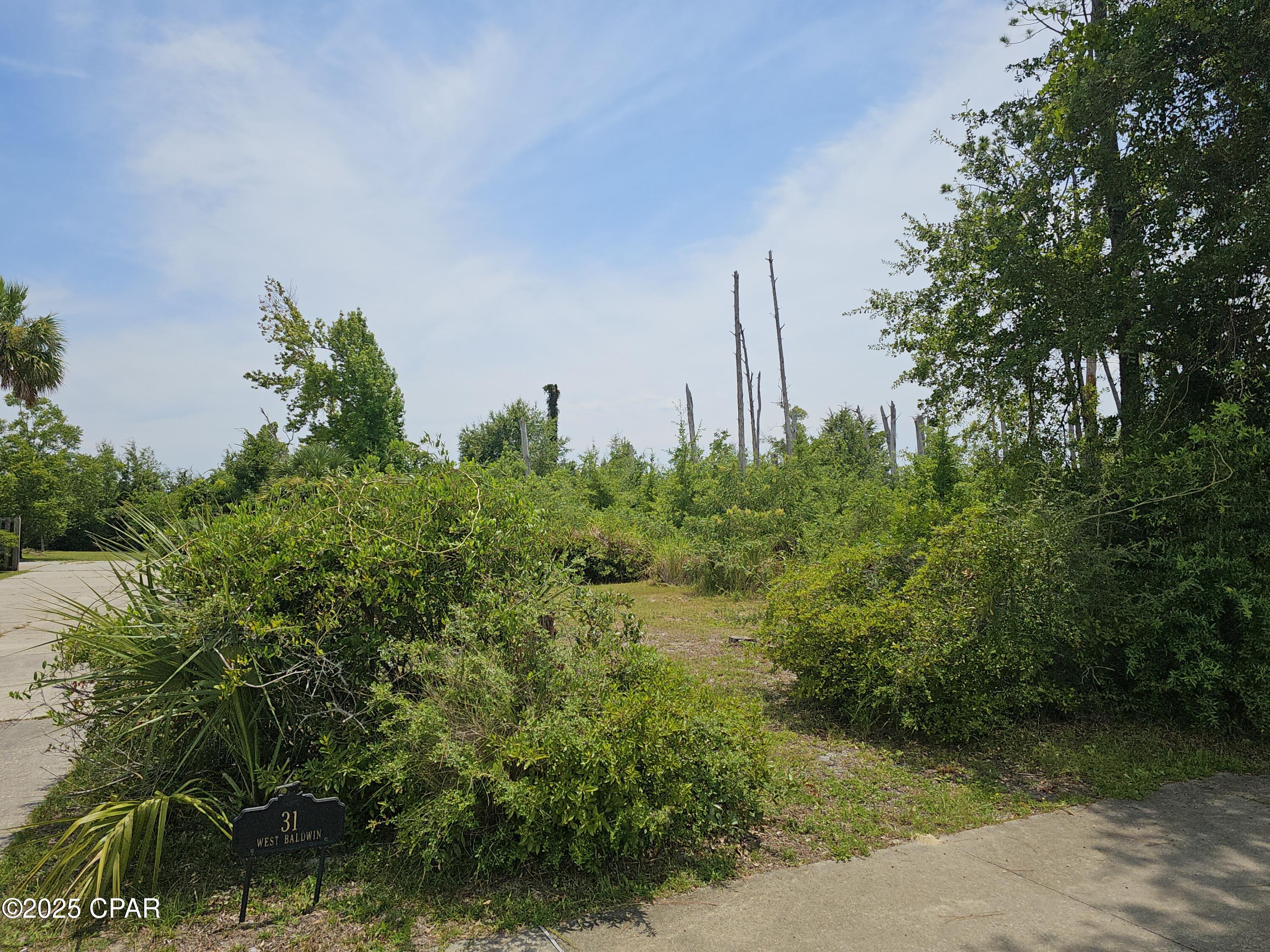 Image 9 For 31 Baldwin Road