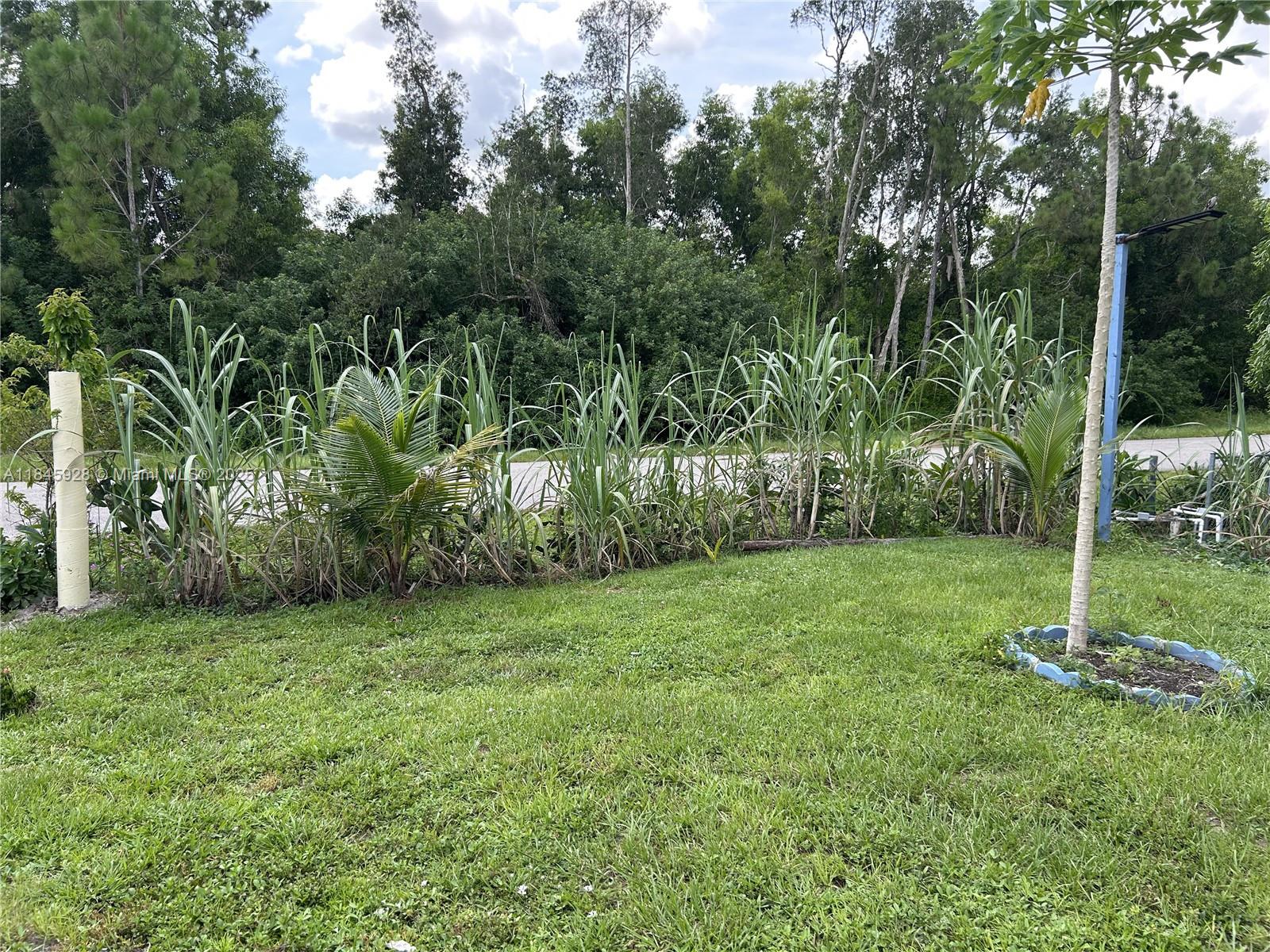 Property photo # 5