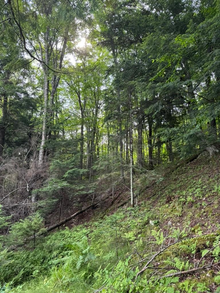 Stateline Lake Property Lot 2 Benson Rd Photo 10