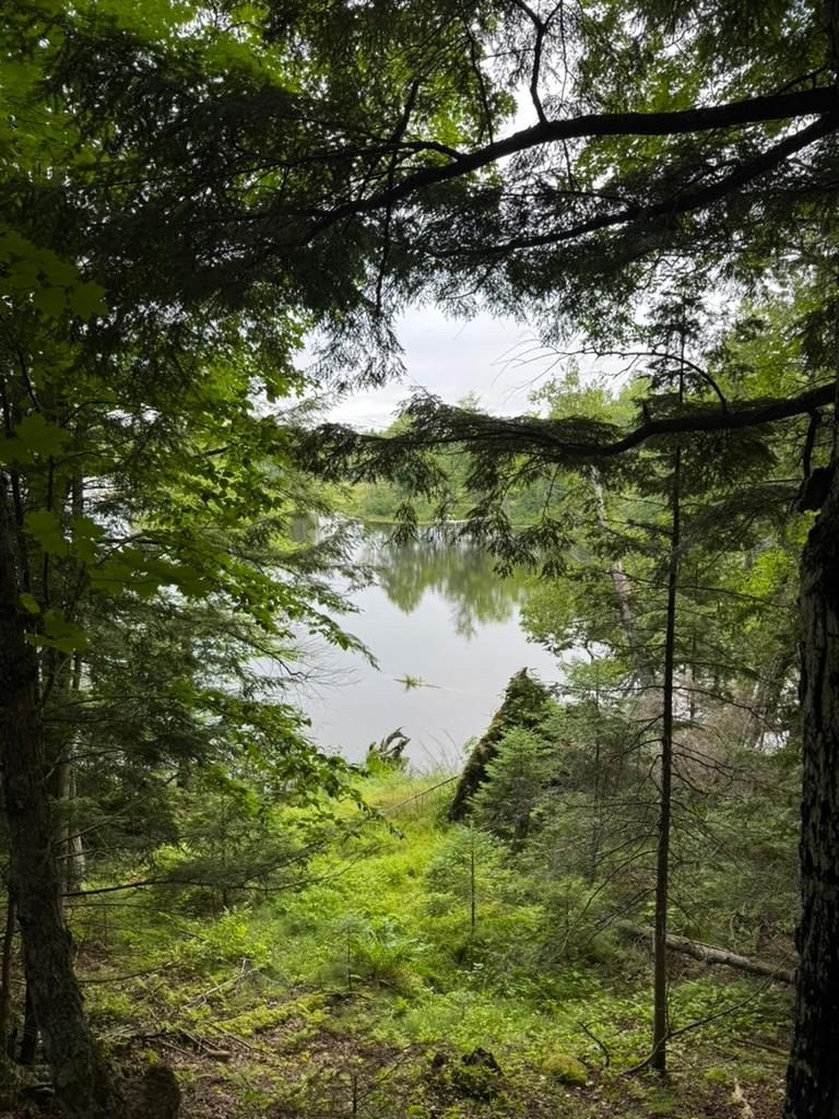 Stateline Lake Property Lot 2 Benson Rd Photo 3