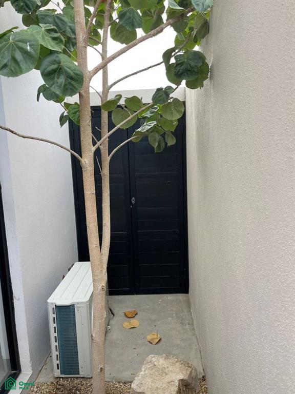 Jose Maria Ceseña Cosio S/N, San José del Cabo (Los Cabos), Los Cabos, Baja California Sur