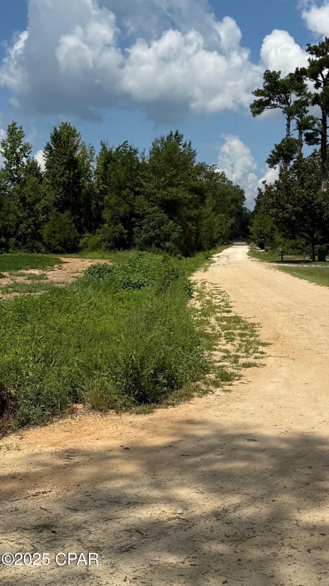 Image 1 For 00 Pandora Road