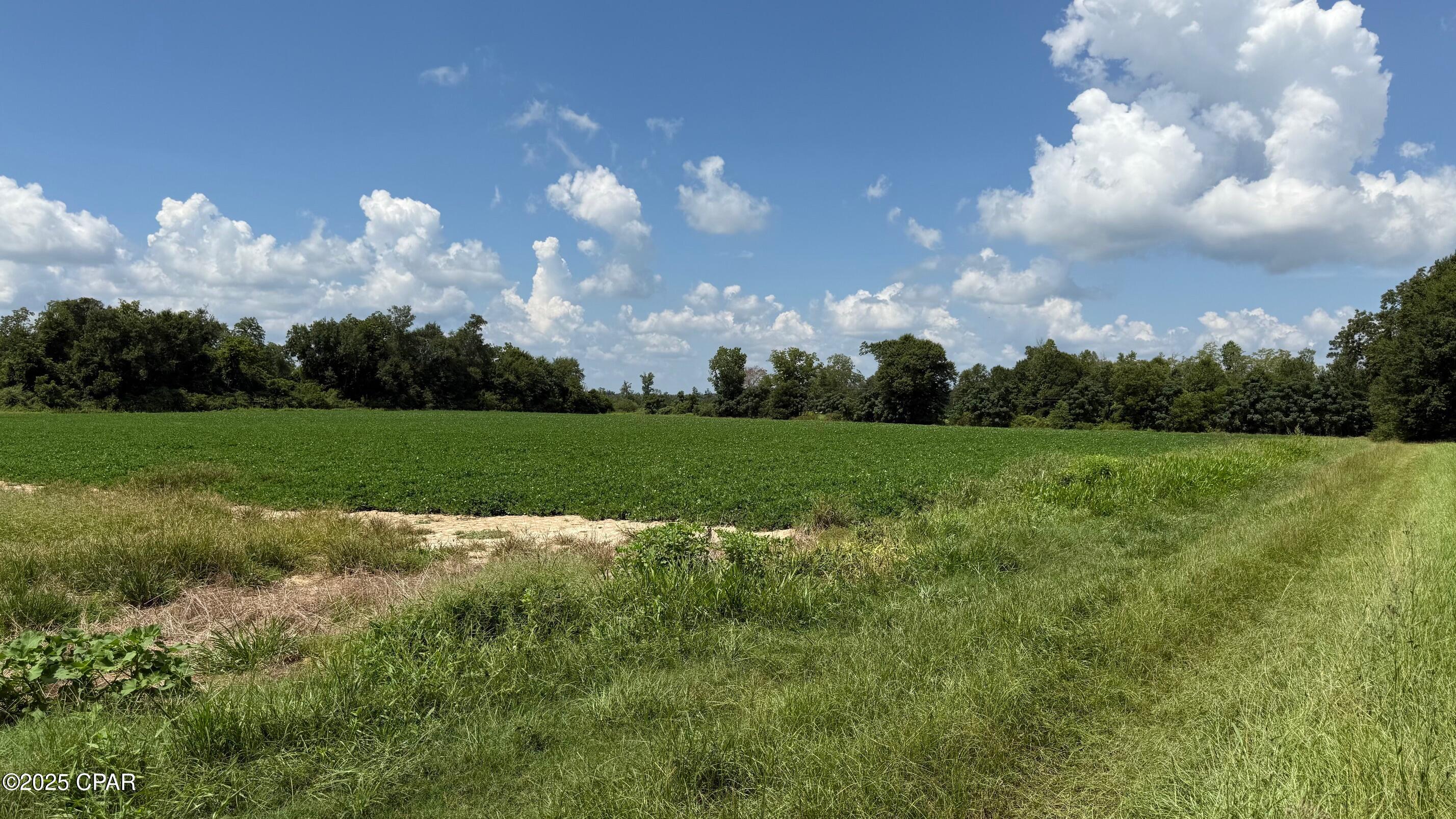 Image 6 For 00 Pandora Road
