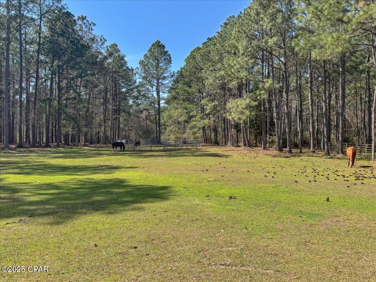 Image 94 For 1471 Hwy C 180