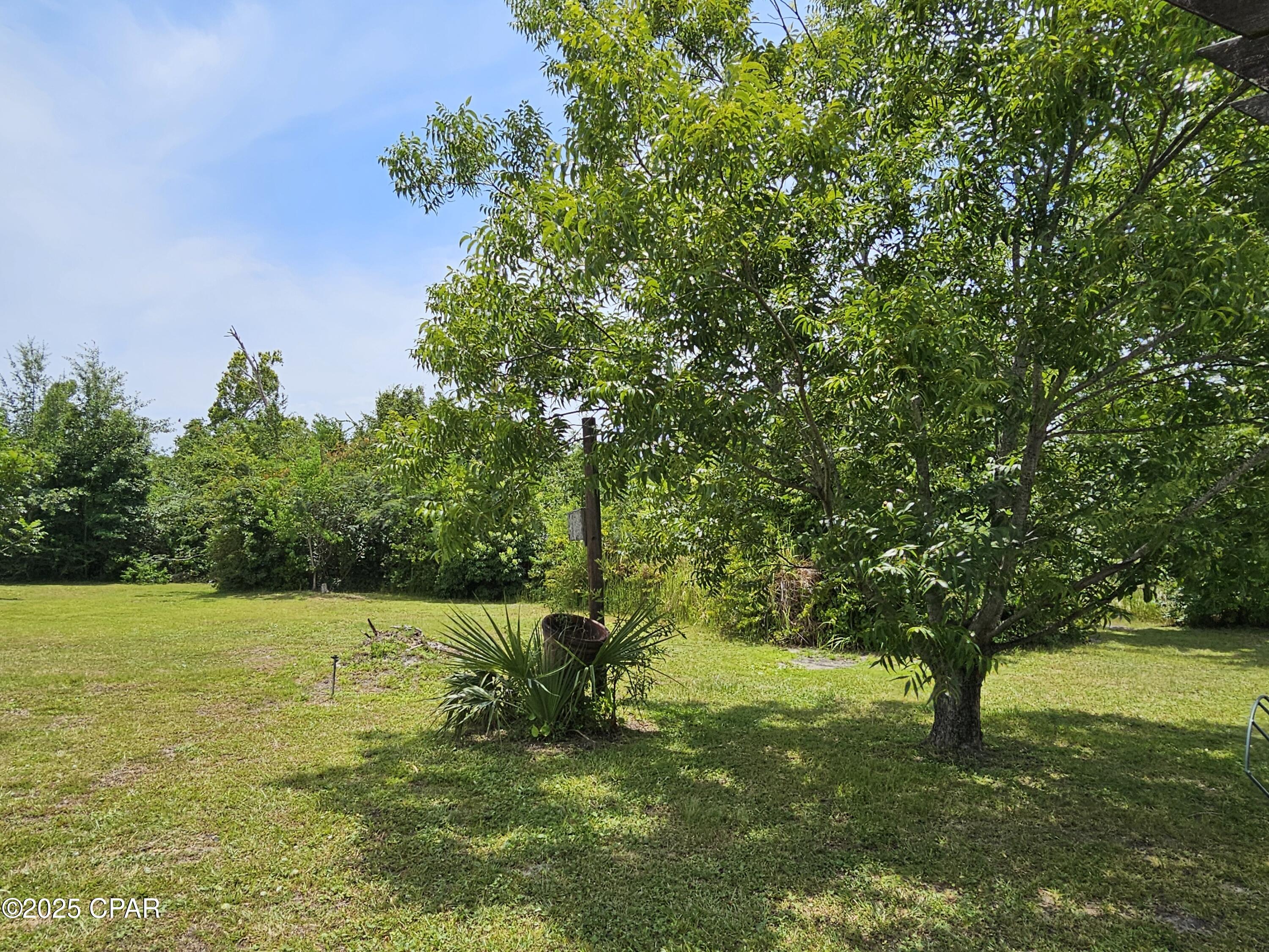 Image 11 For 31 Baldwin Road