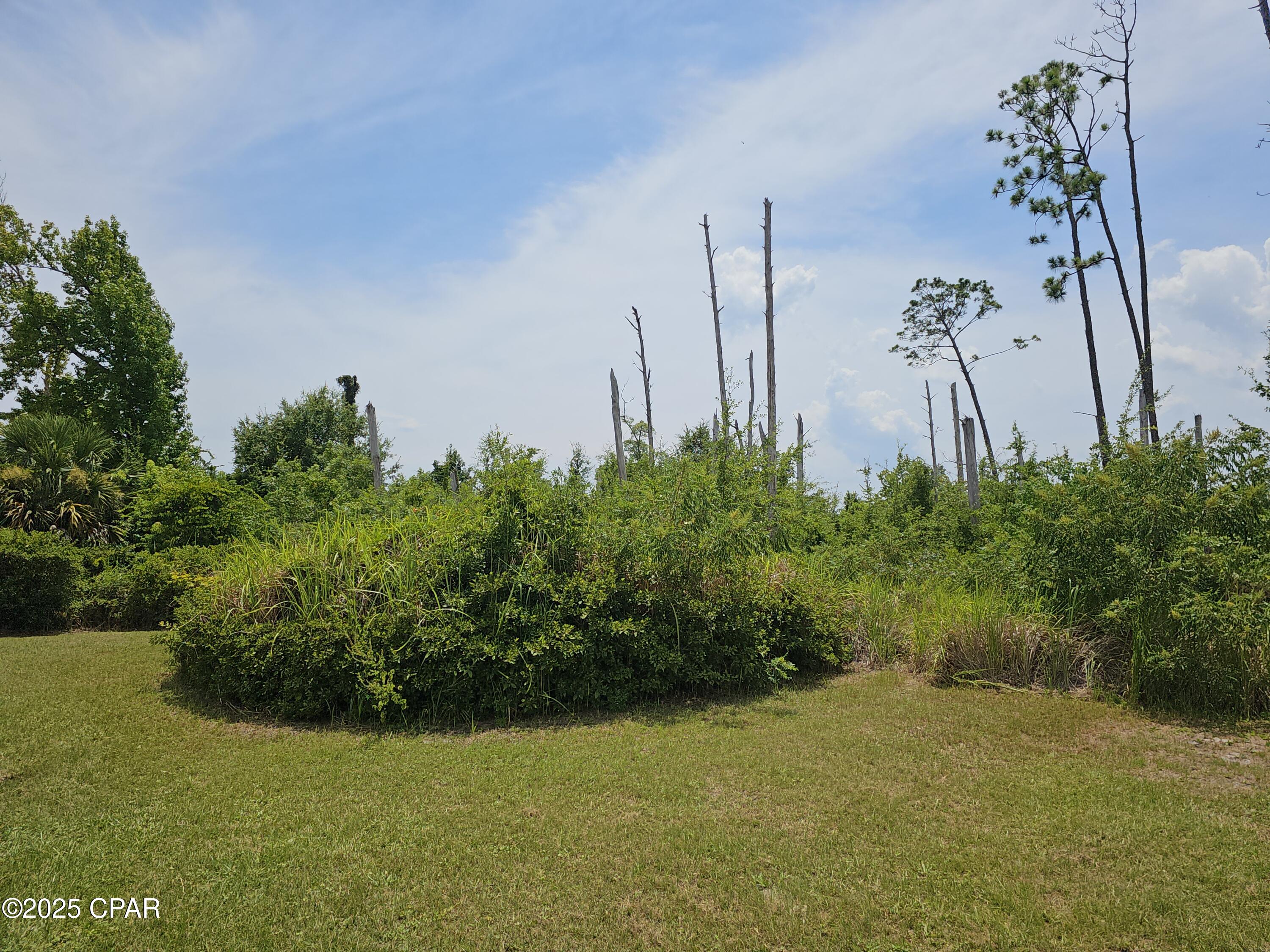 Image 8 For 31 Baldwin Road