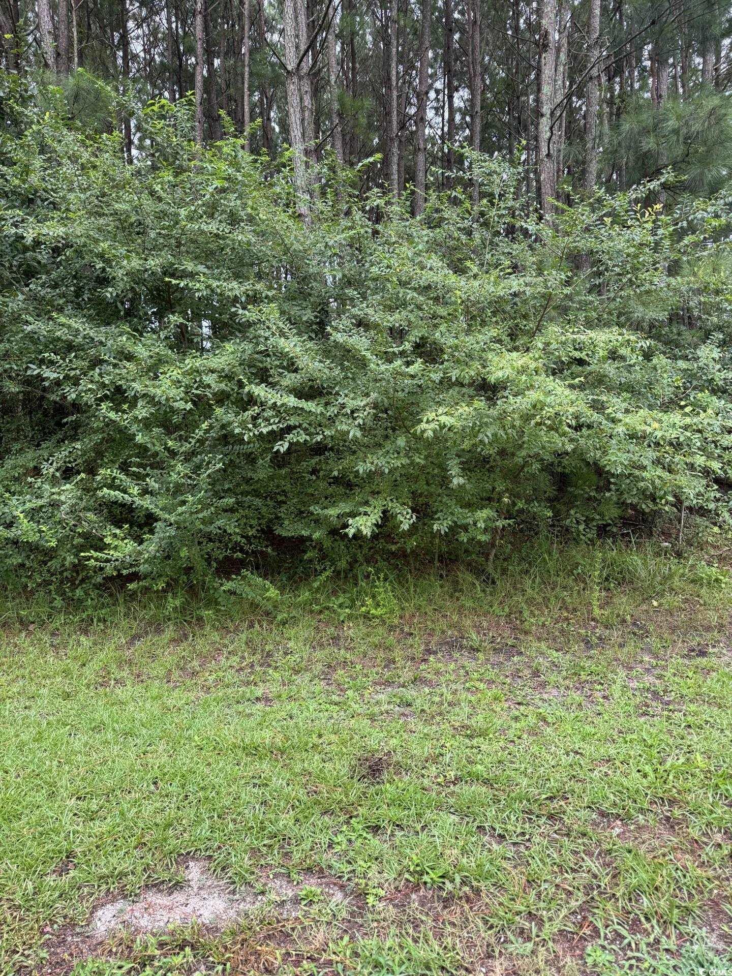 TBD Louisville Rd. Aynor, SC 29511
