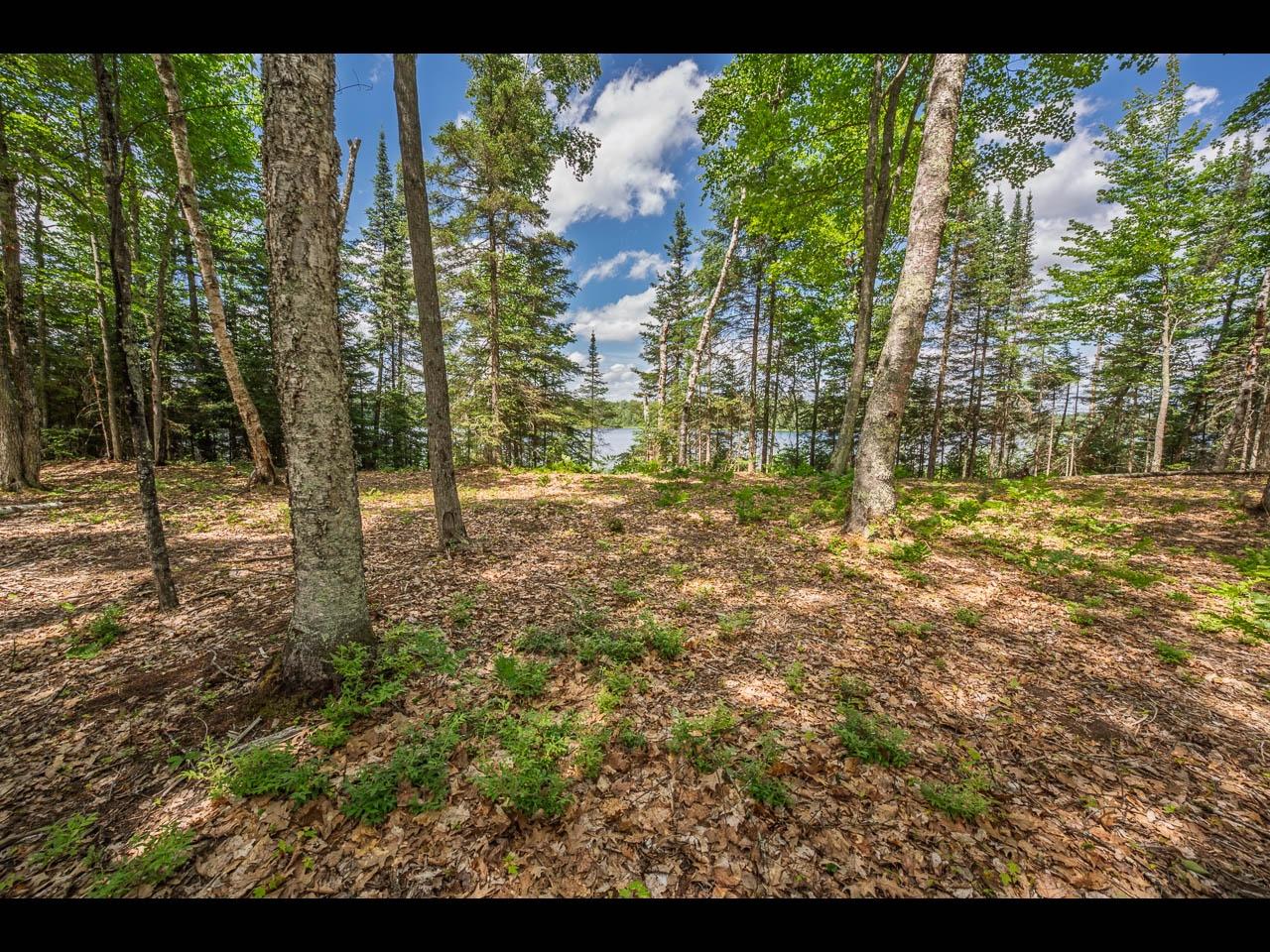 Clearwater Lake Property Lot 161 Clearwater Lake Tr Photo 3
