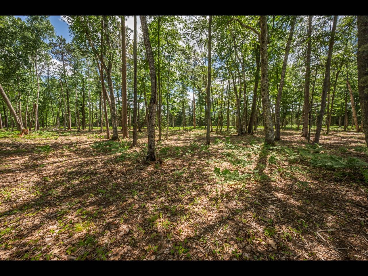 Clearwater Lake Property Lot 161 Clearwater Lake Tr Photo 6