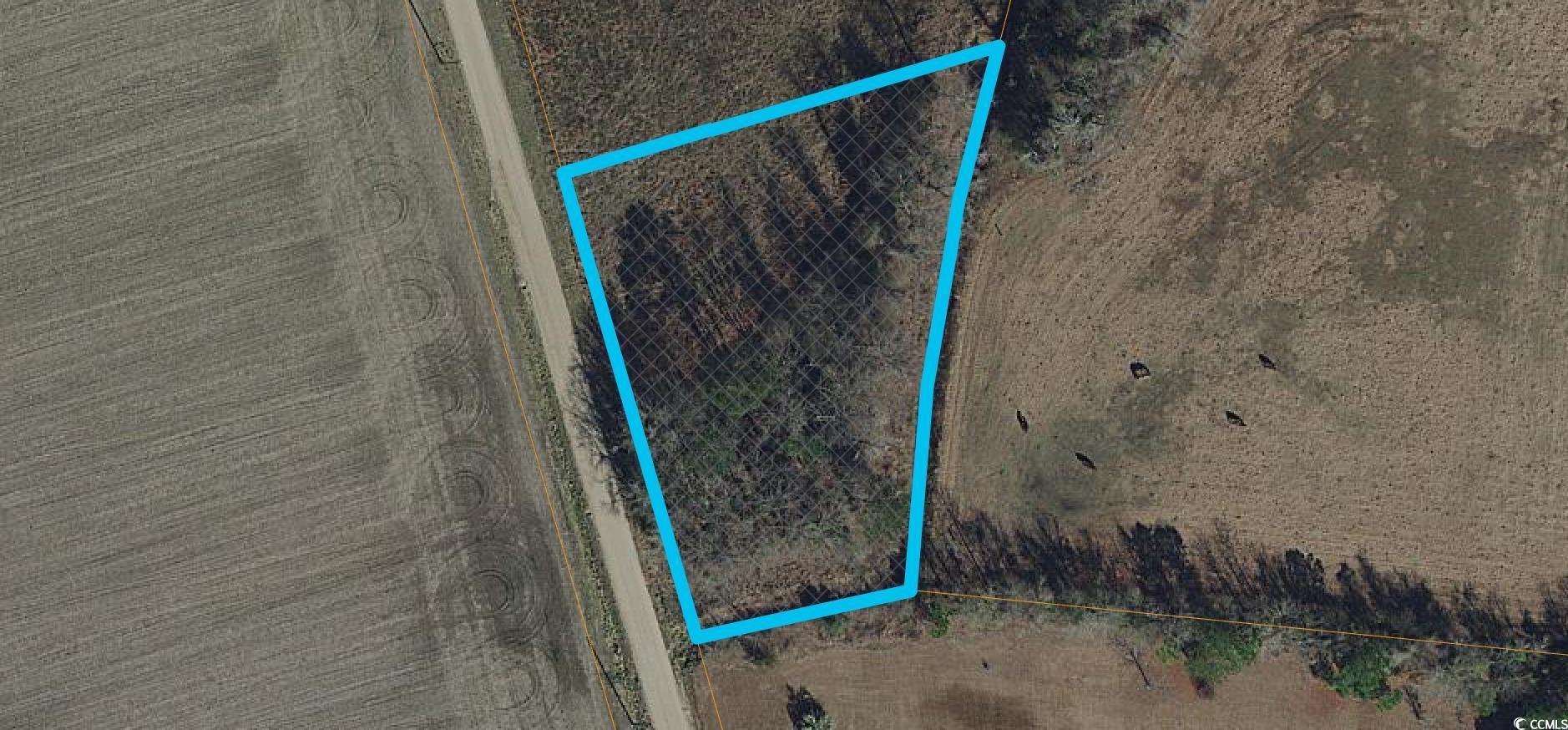 996 Inglewood Dr. Loris, SC 29569