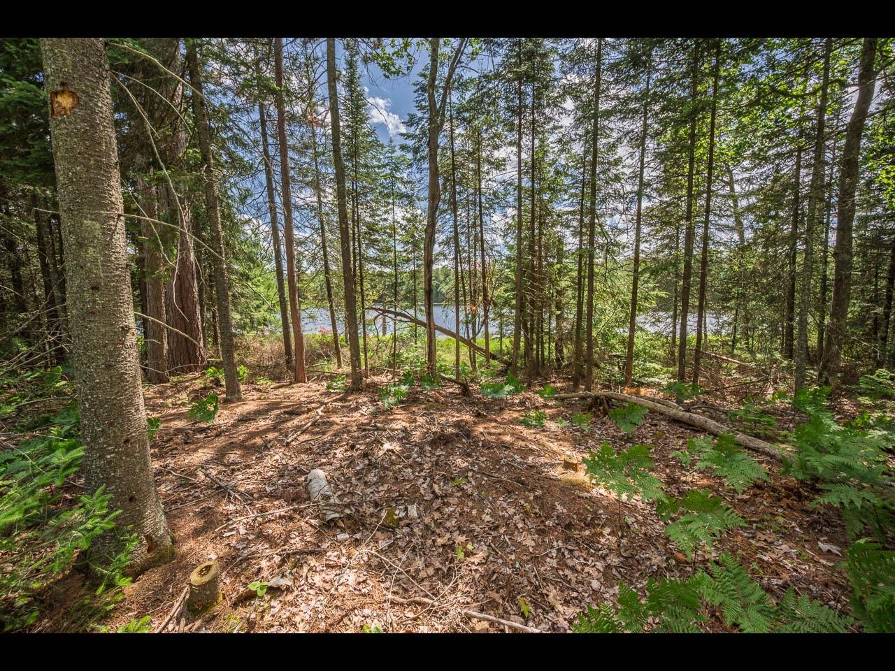Clearwater Lake Property Lot 162 Clearwater Lake Tr Photo 4
