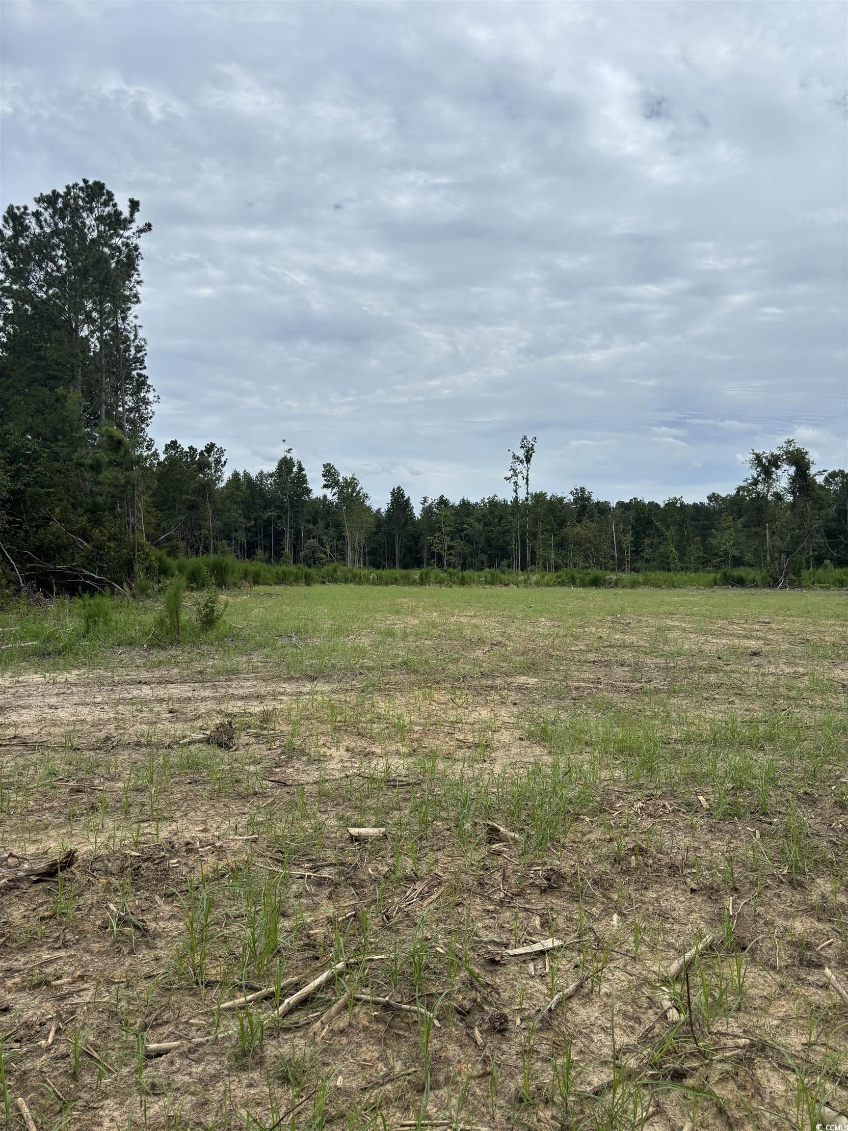 Herman Rd. Loris, SC 29569
