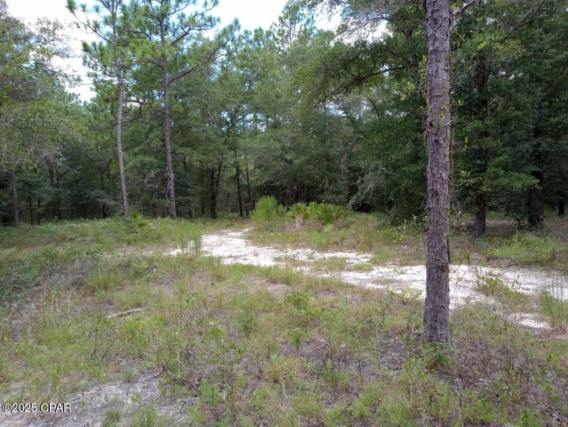 Image 3 For Lot 7 & 8 Yellow Poplar Avenue