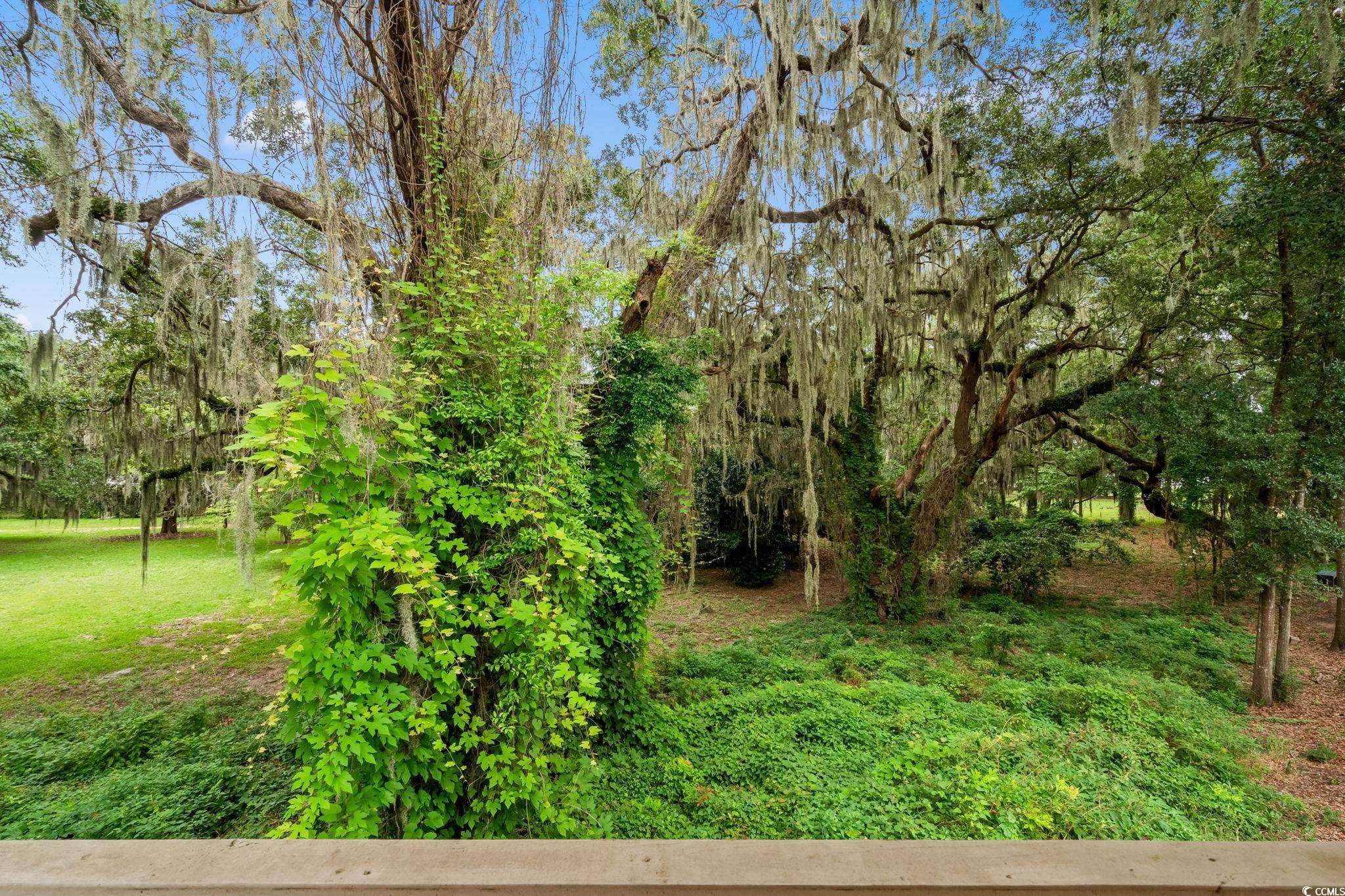 15 Flaggpoint Ln. Murrells Inlet, SC 29576