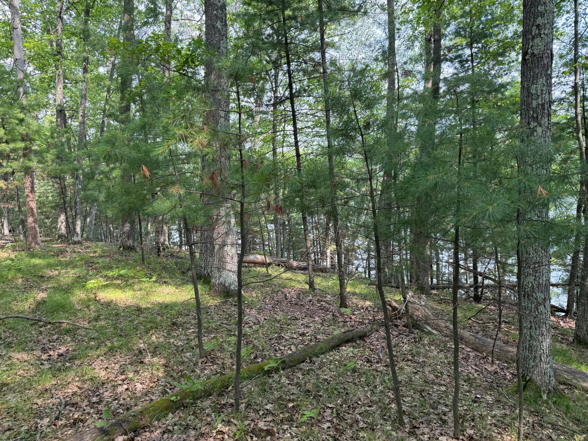 Alma Lake lot picture