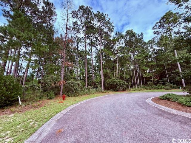 4295 Doral Pl. Myrtle Beach, SC 29579