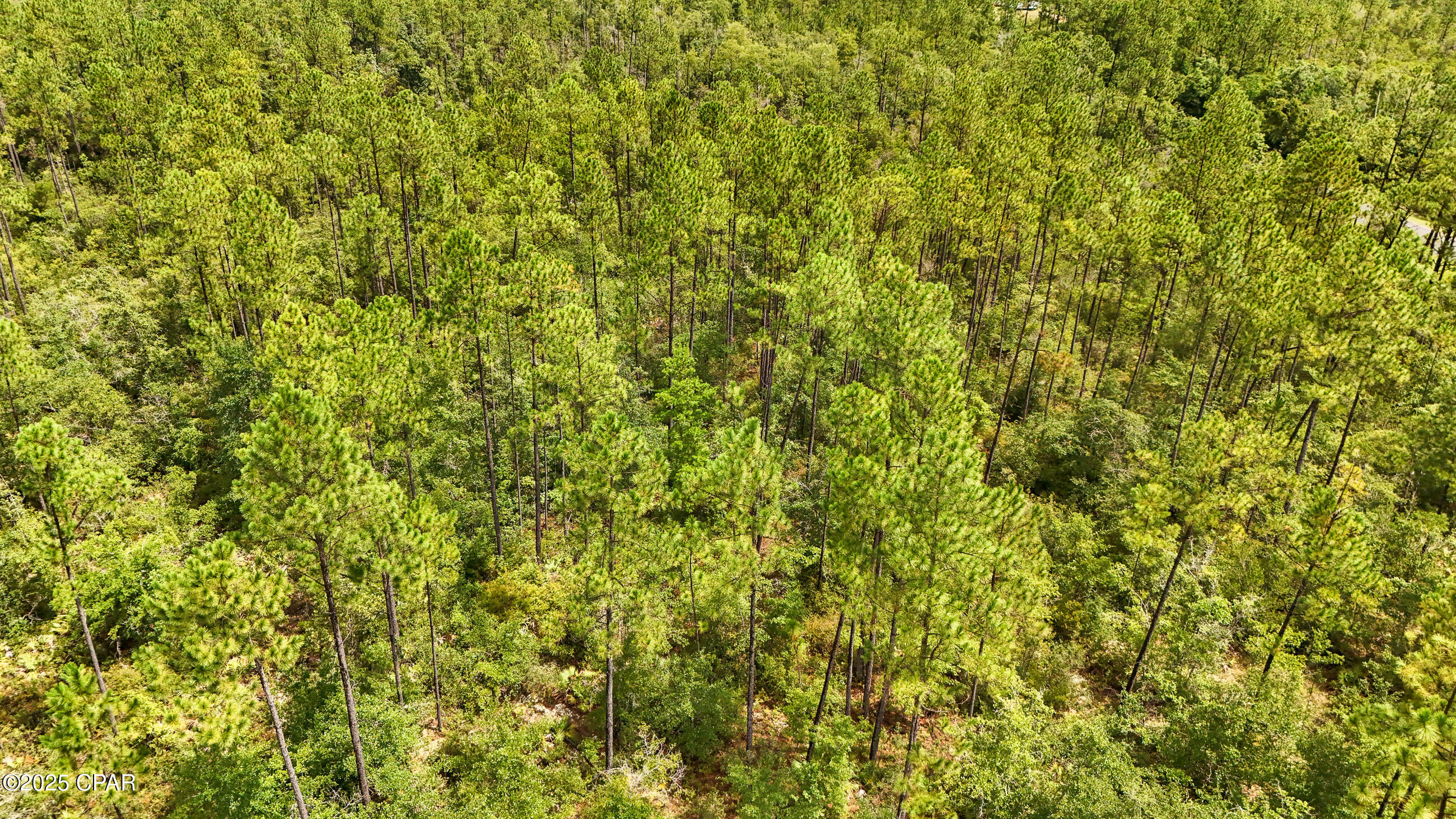 Image 13 For Tbd Cowels Road