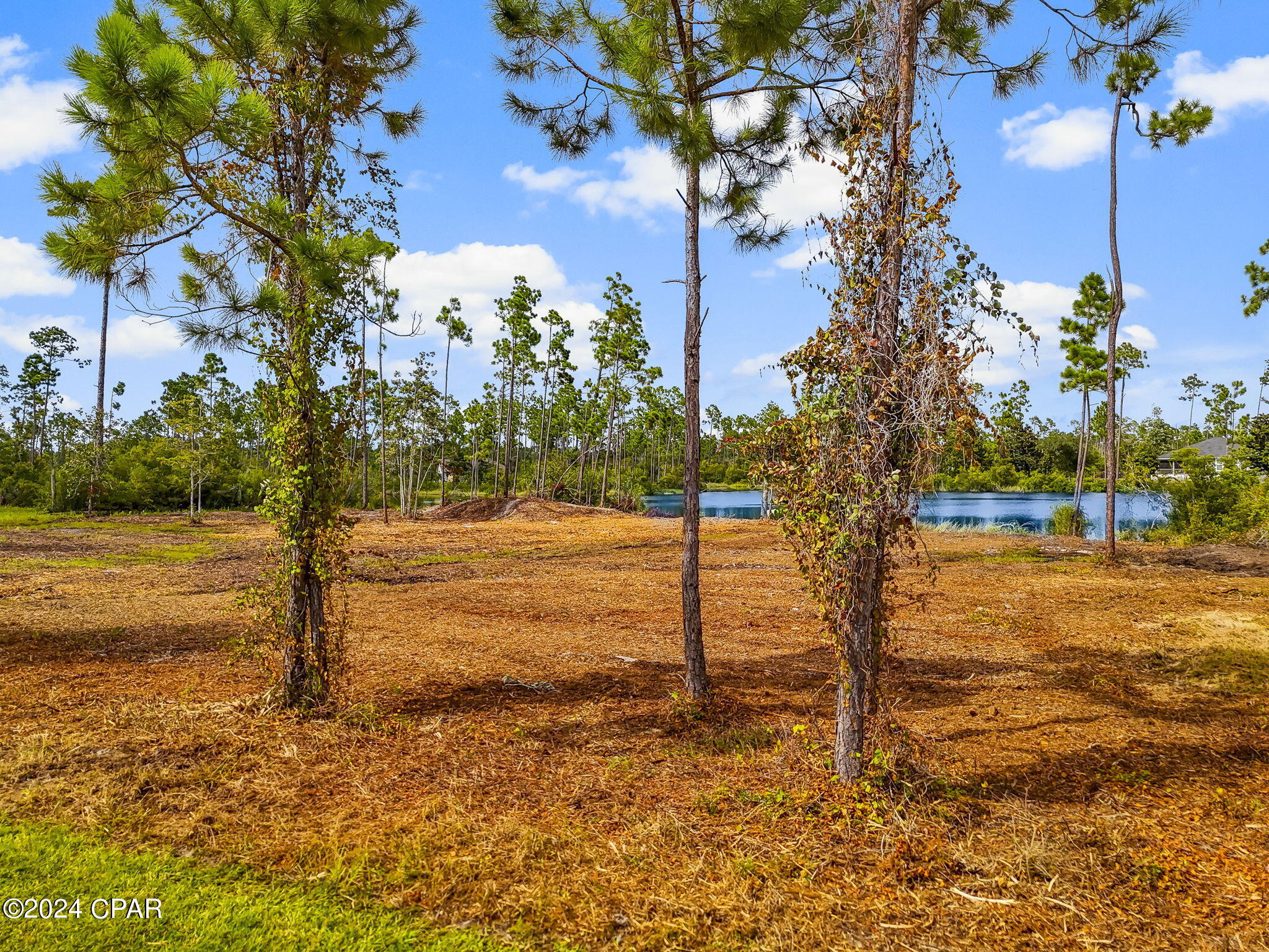 Nsss01ey91ohvqibtitfdo3auqwu6c1ocvi9cowobm8