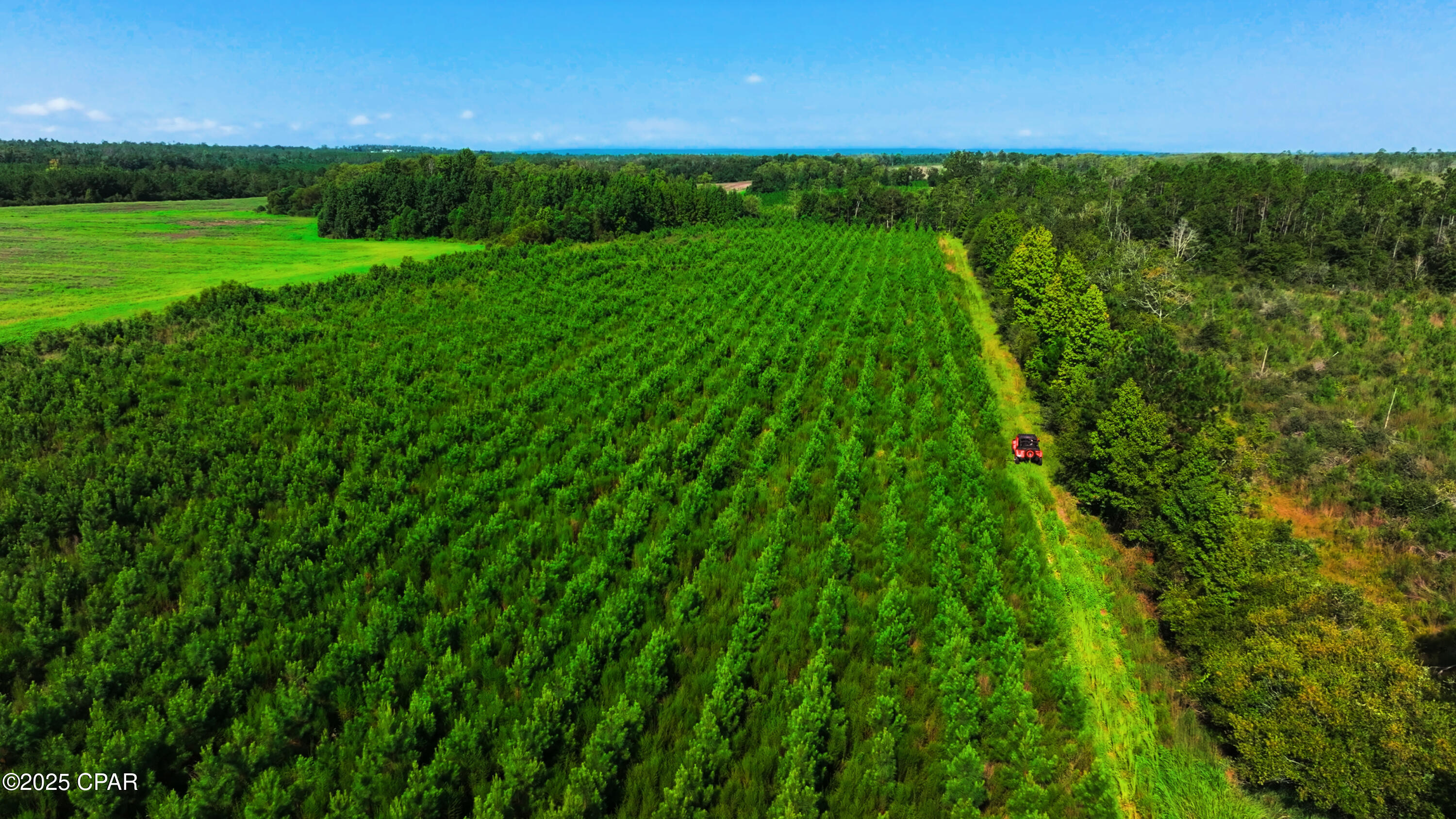 3oau13vhocn8jcfscmv6gqizpbv6epagz9spapopvgq