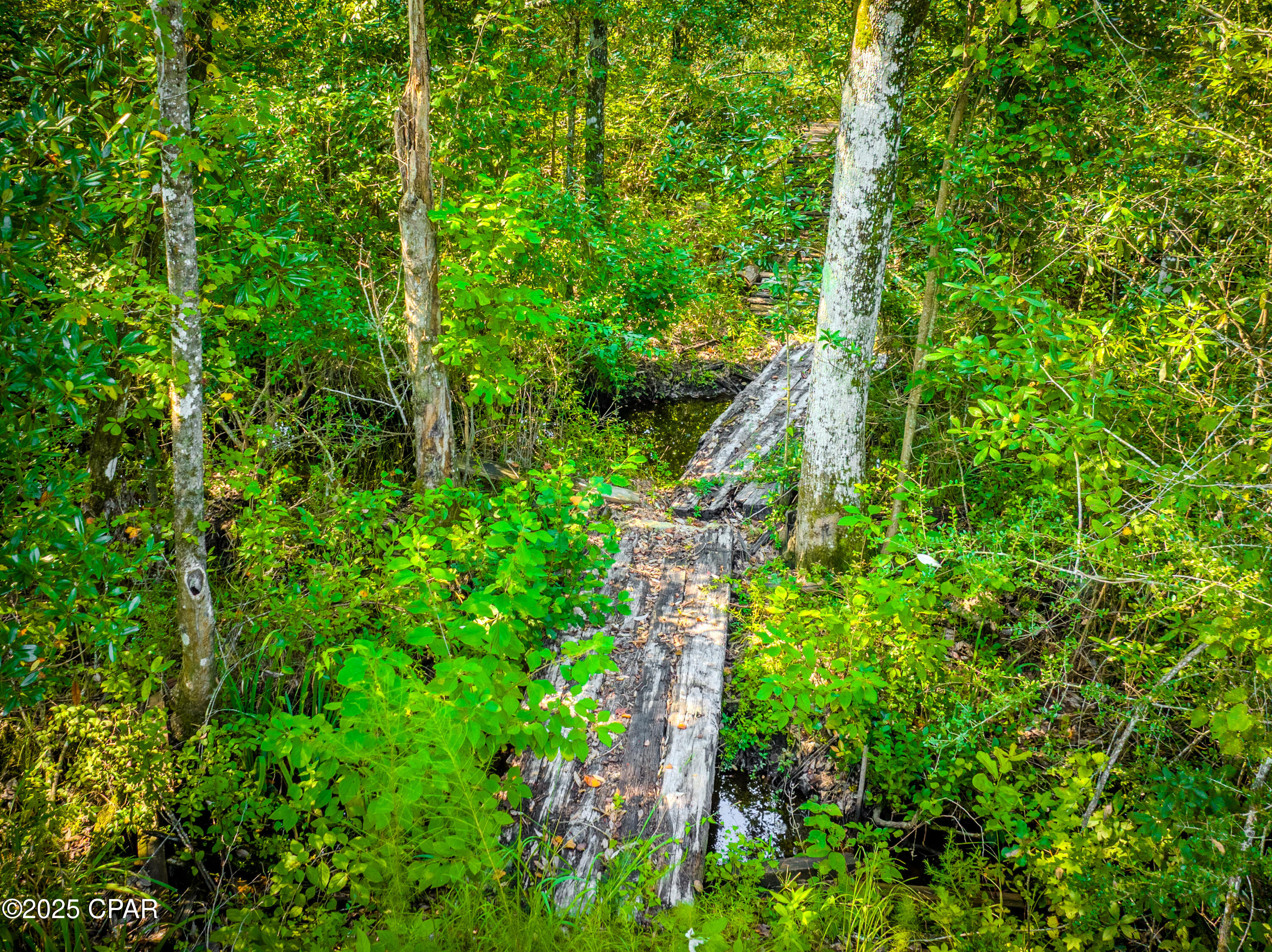 Bnddutlqksmiiubqqydjnkwoyysemoaicv4l1b9rxx4