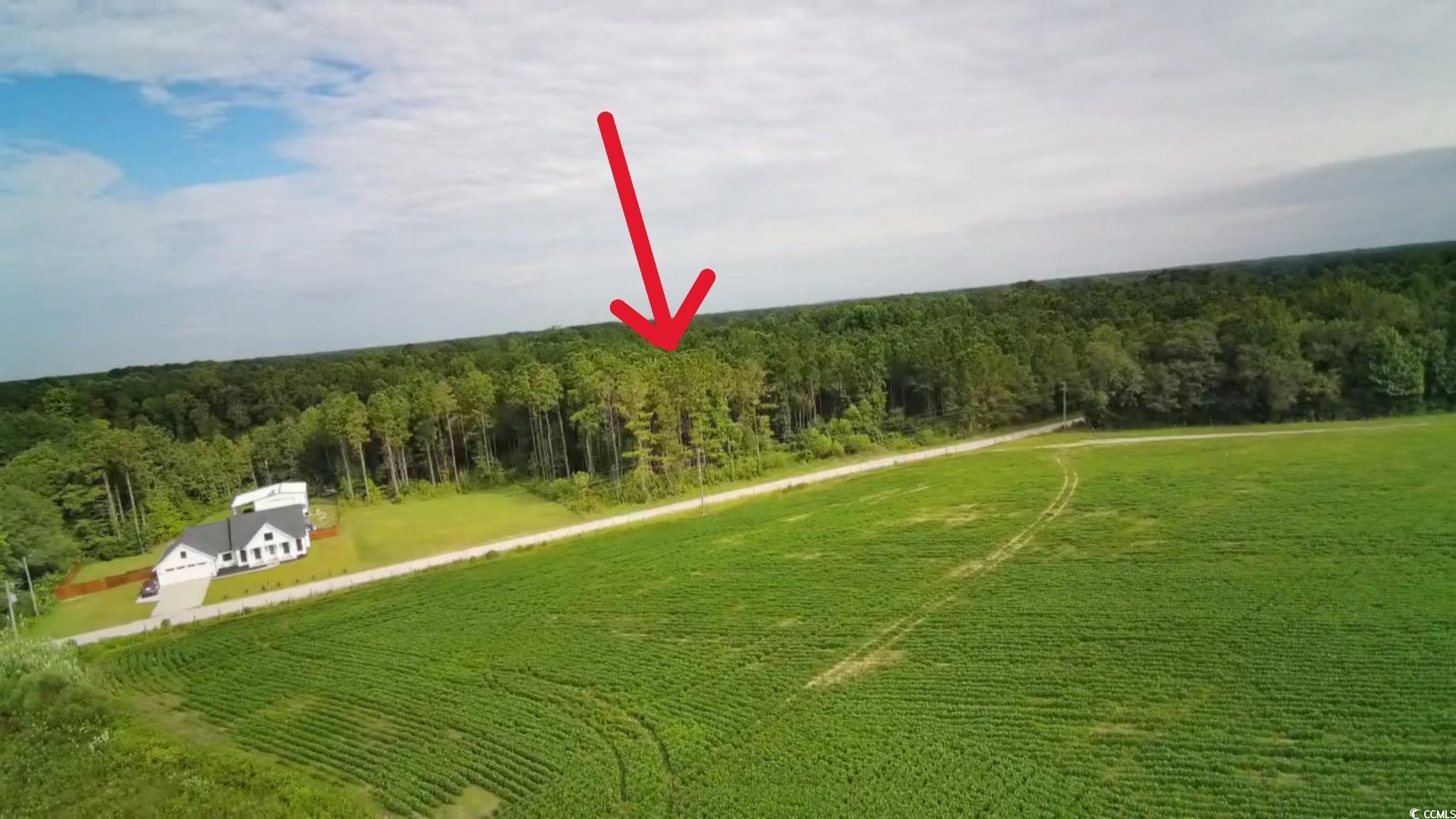 TBD Lawson Rd. Loris, SC 29569