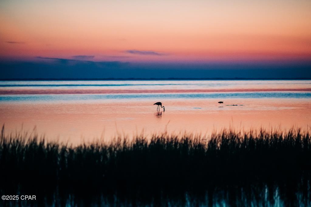 Dro68m2lkm1 76gghjkxumsctzpancyi0nxvhigeswm