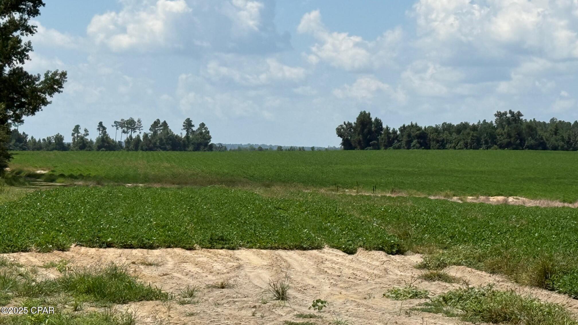 Or5v9wzp9kp8a7gzjp1tcvnvepilhoczc4 Fl2xapza