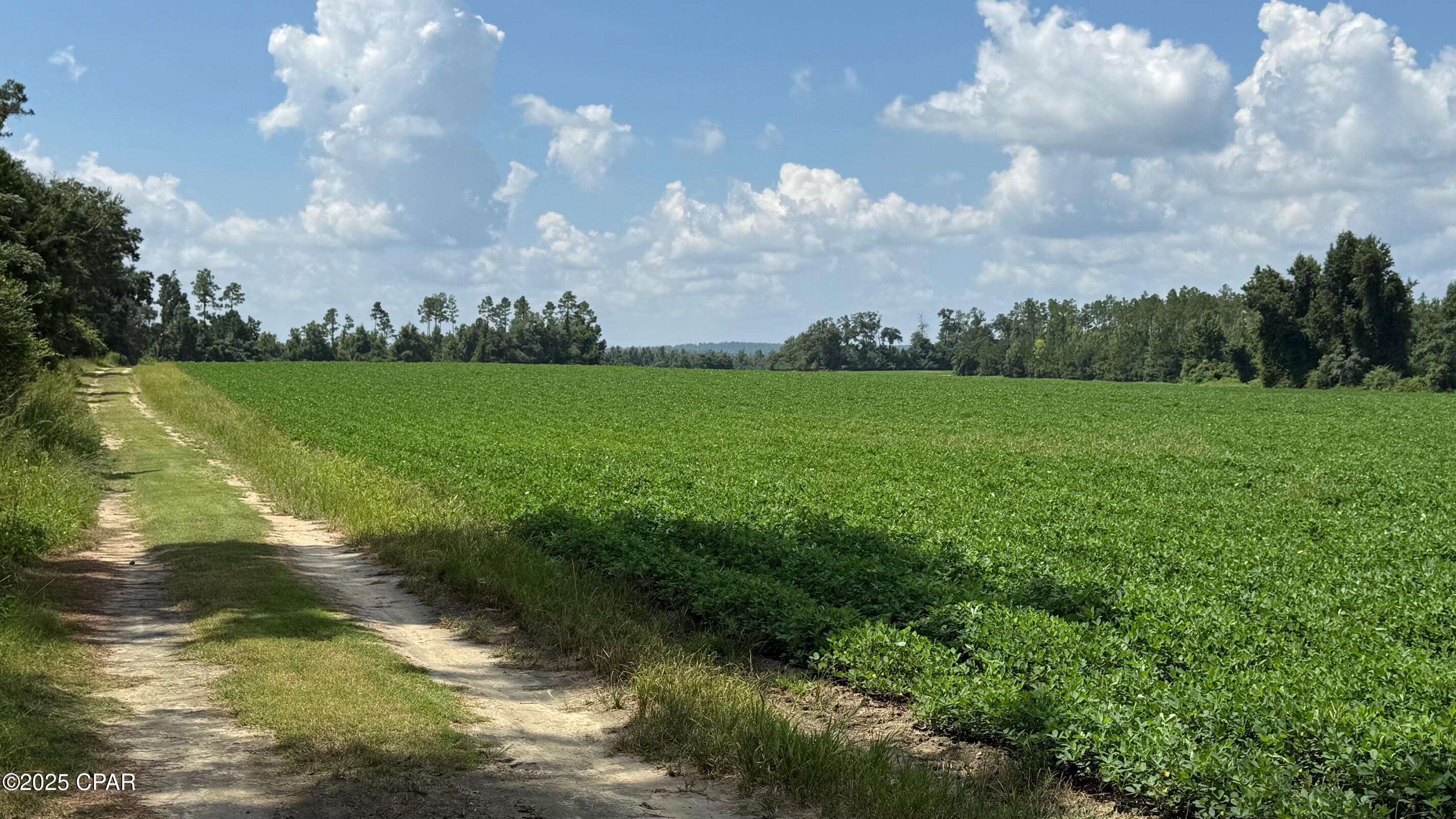 09wazw0e8gx2a6syms Kxm7wsgcuztpxoyjuzpijy54