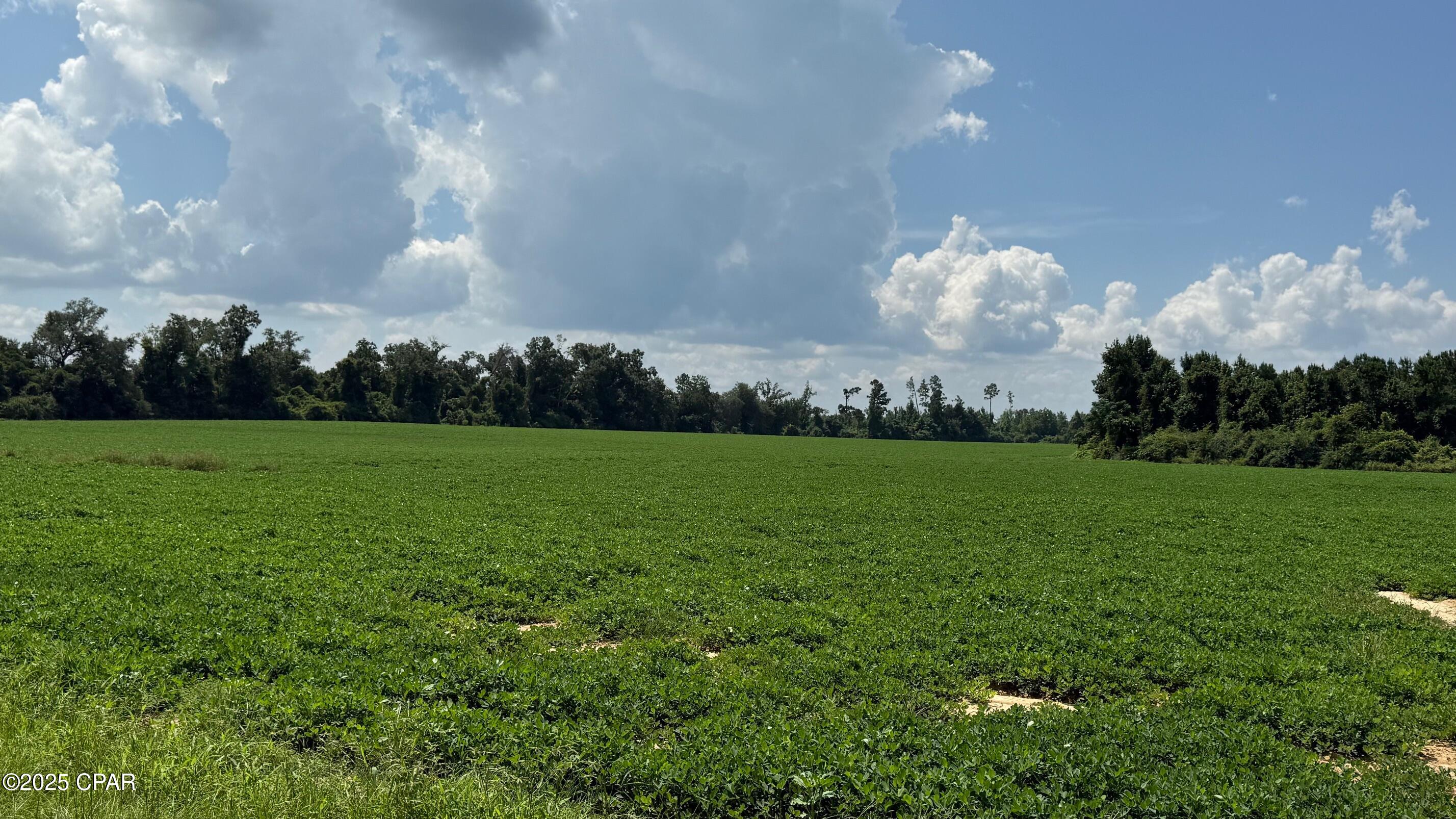 Lrifzffeikmcsplip Ts3u9kriojgmfej6qfnmw1cpk