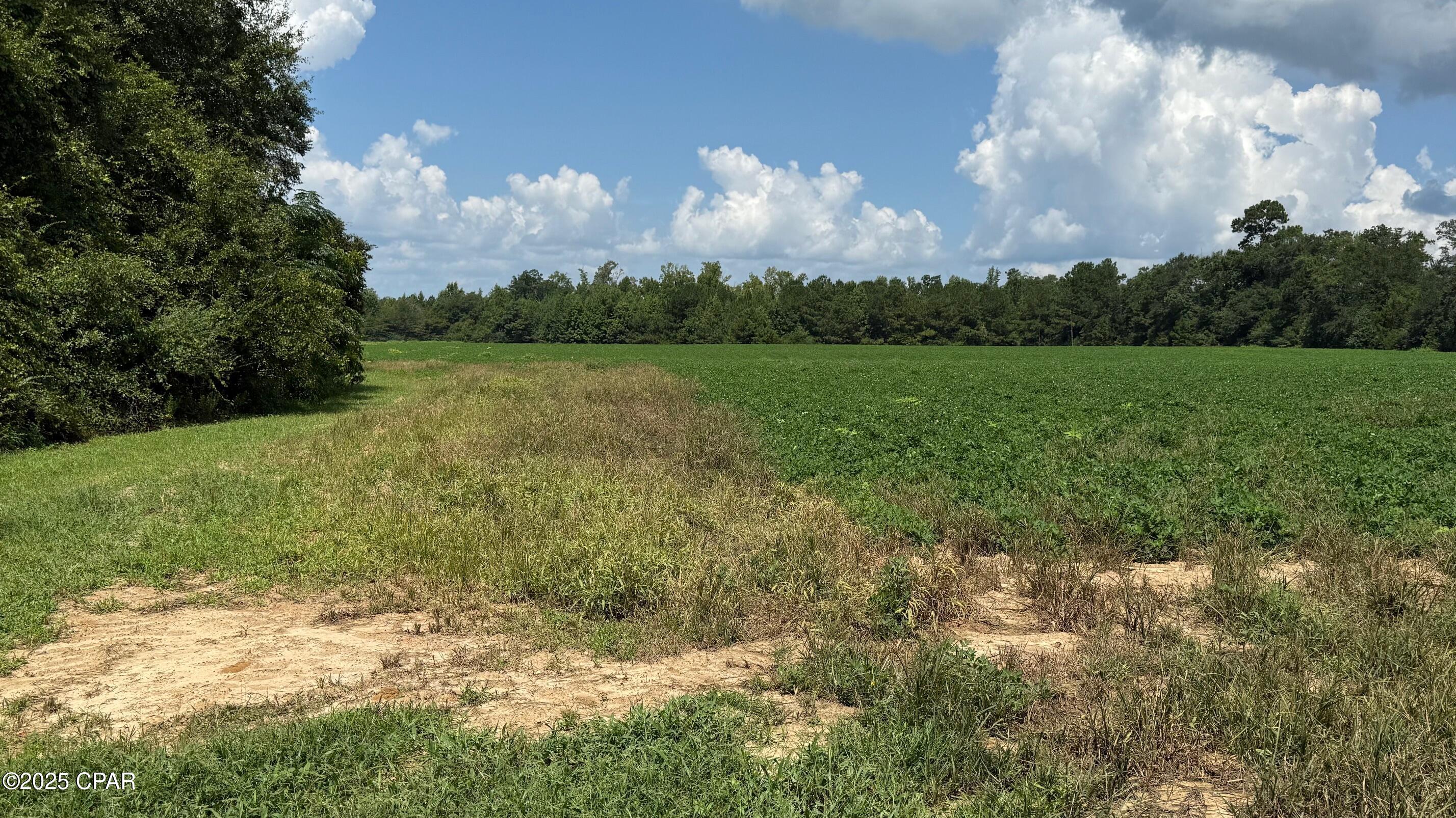 Hhja Oez7m1riuccu1r7lpwwxg0x_canl_maf2d8pjy