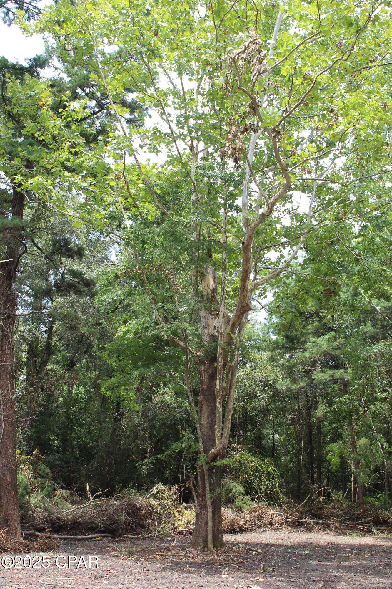 Nl_nssrbmoqaz9k6sqw8cigitad6mfw Swaw6tnp_ig