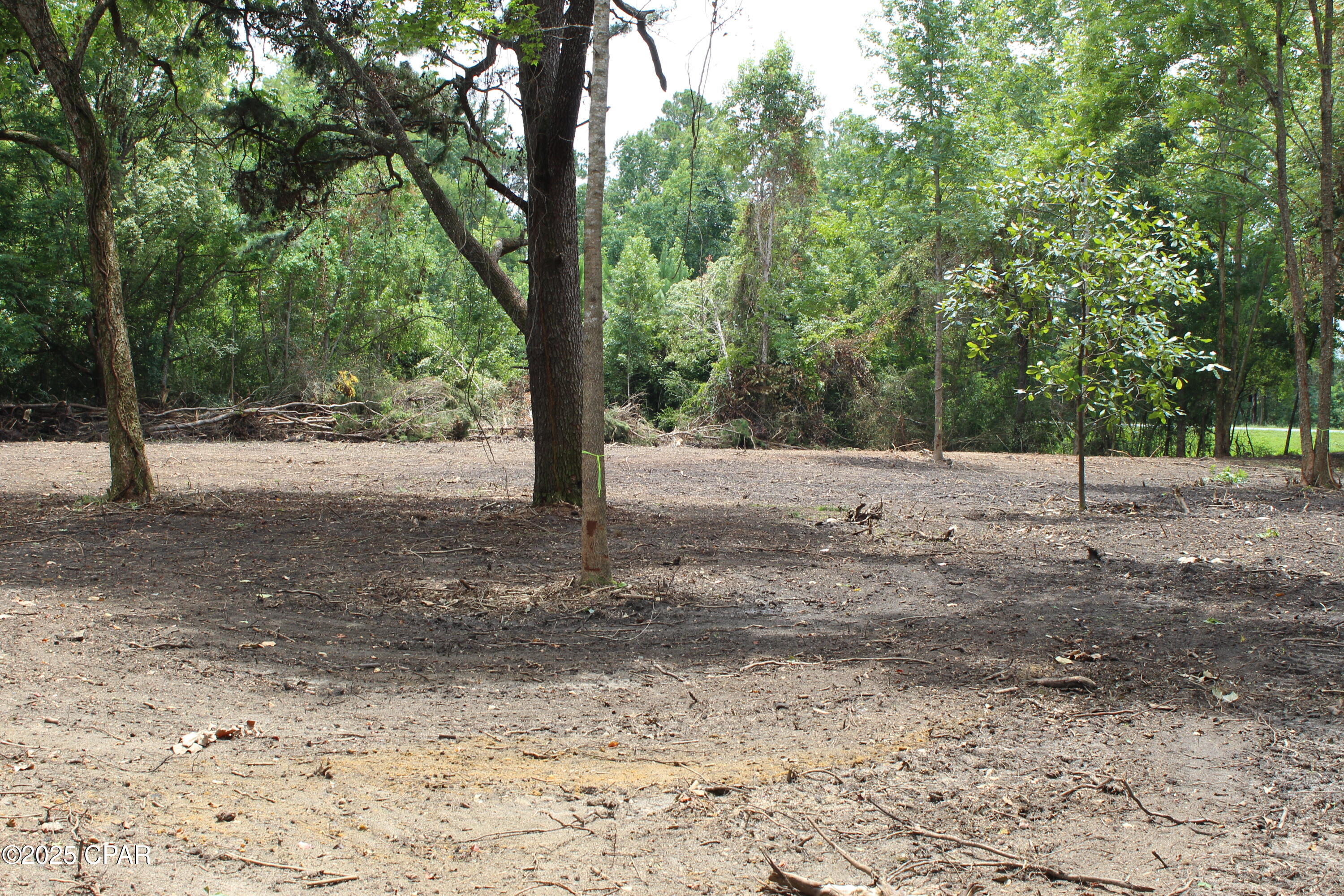 Ribz6dmbb83_hobz9zihfbk8qnh 7sfgkcsao2jozr8