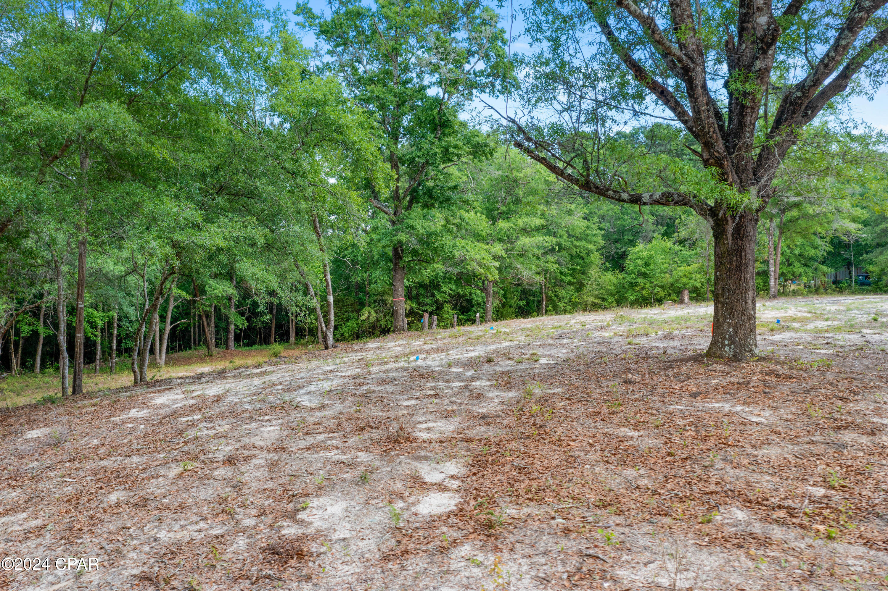 Hiujwfb8bhzjua2a1wcfvlstuen_pp Yssqslhv0whm