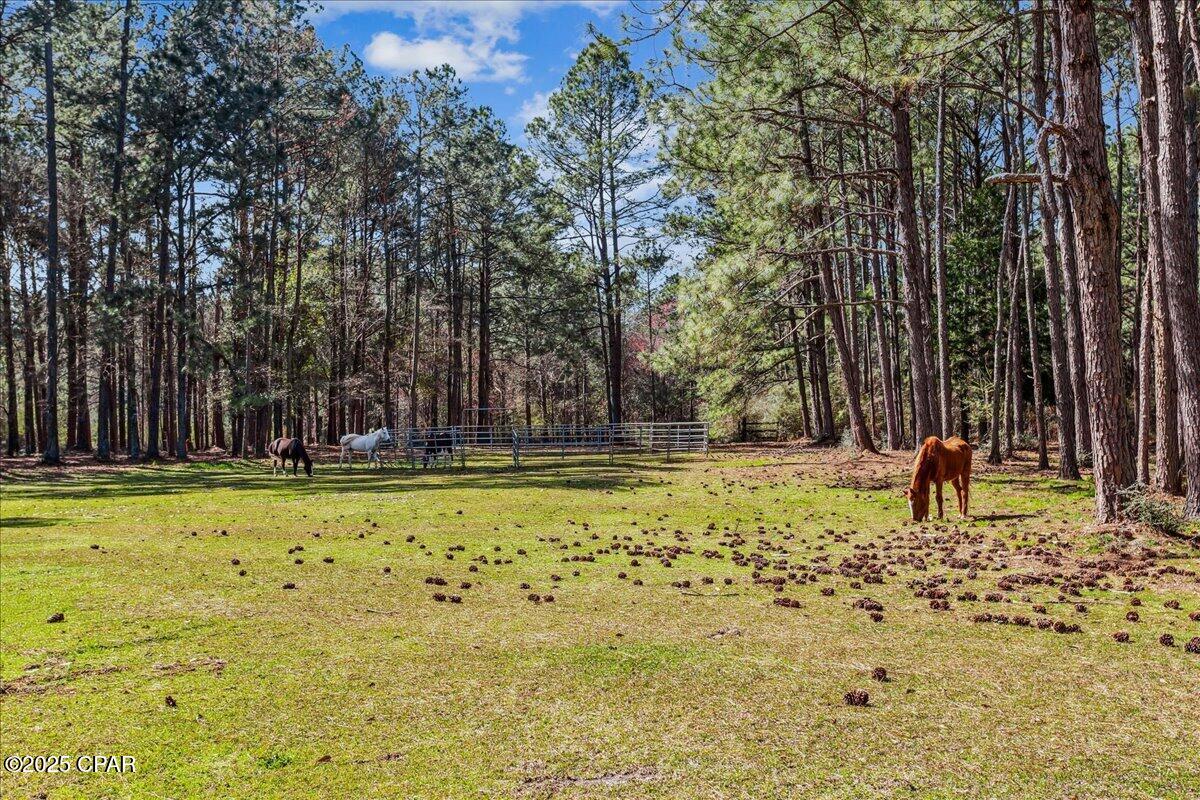 Image 64 For 1471 Hwy C 180