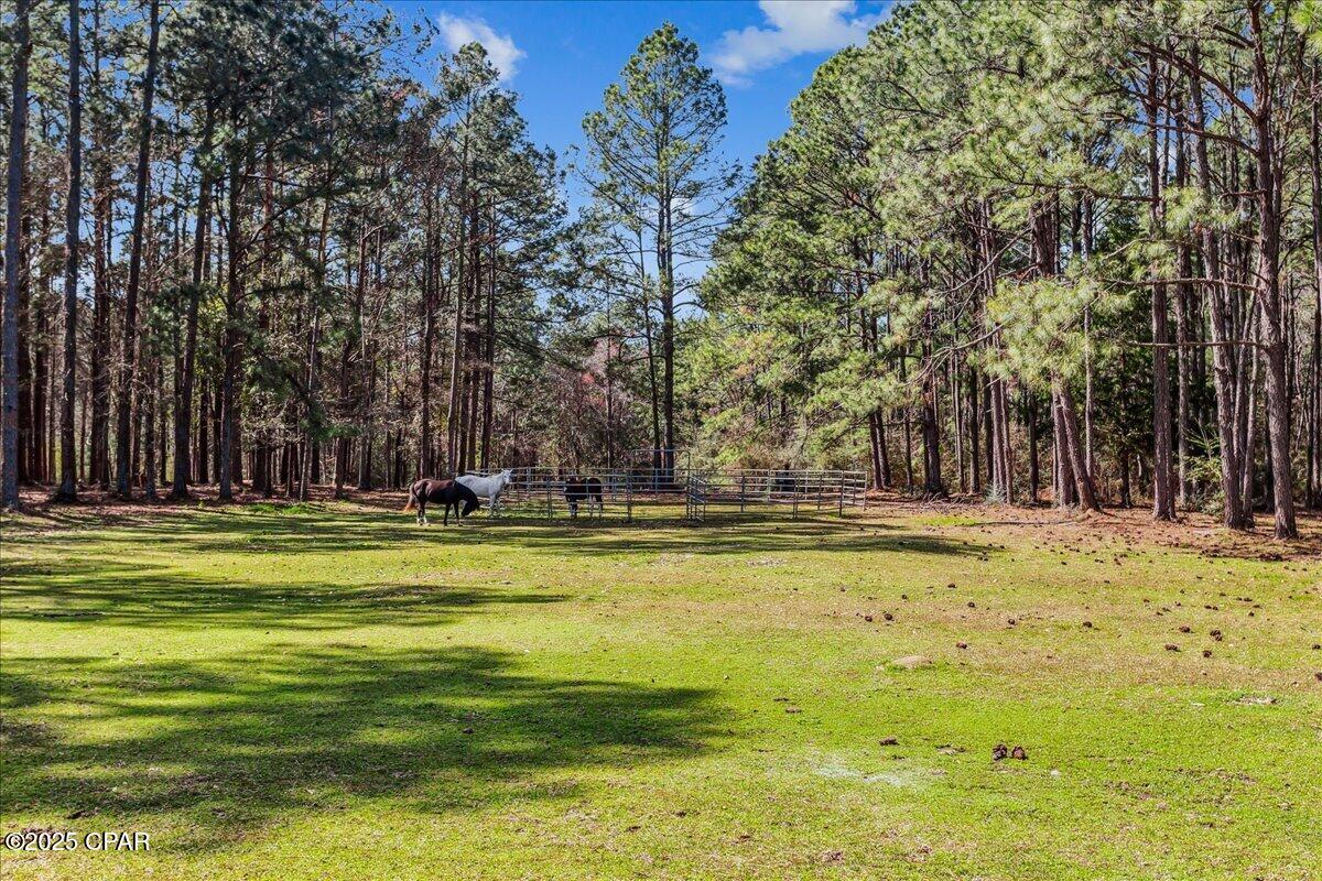 Image 65 For 1471 Hwy C 180