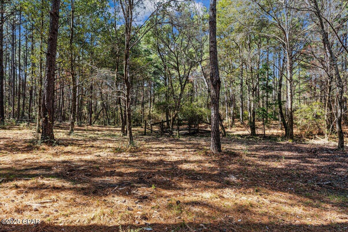 Image 66 For 1471 Hwy C 180