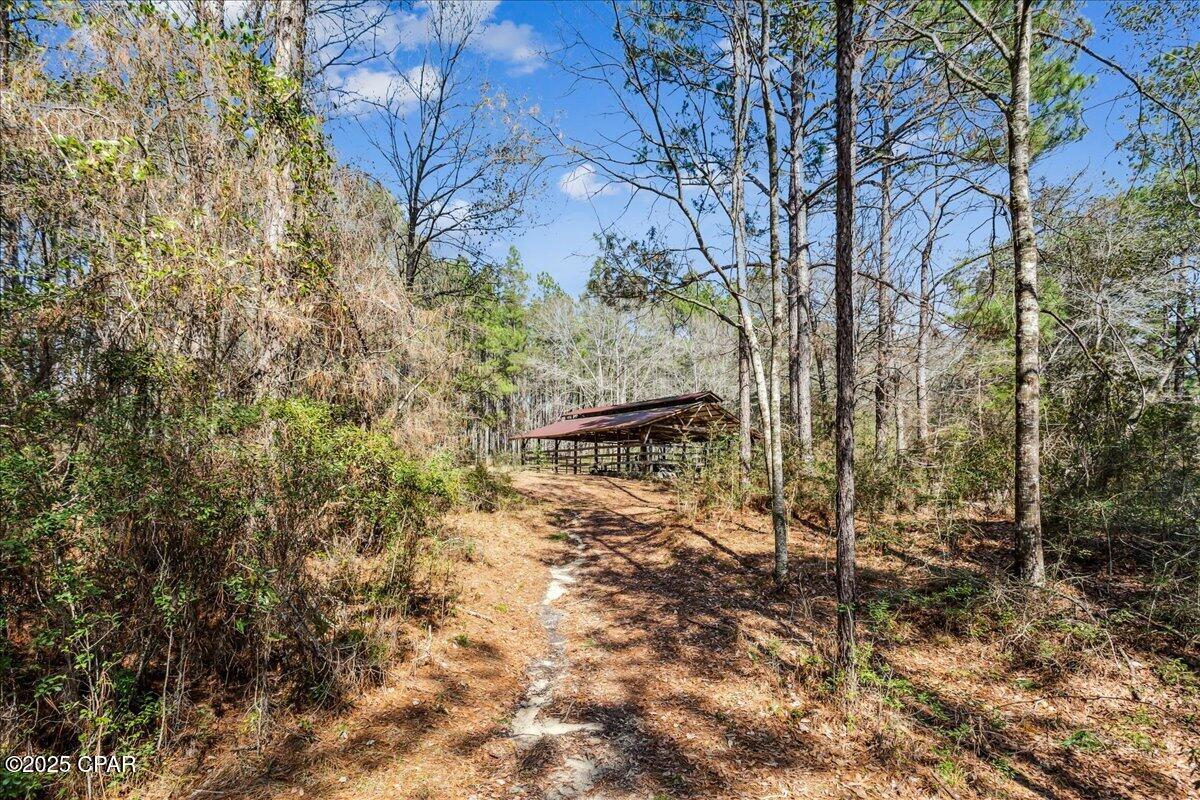 Image 67 For 1471 Hwy C 180