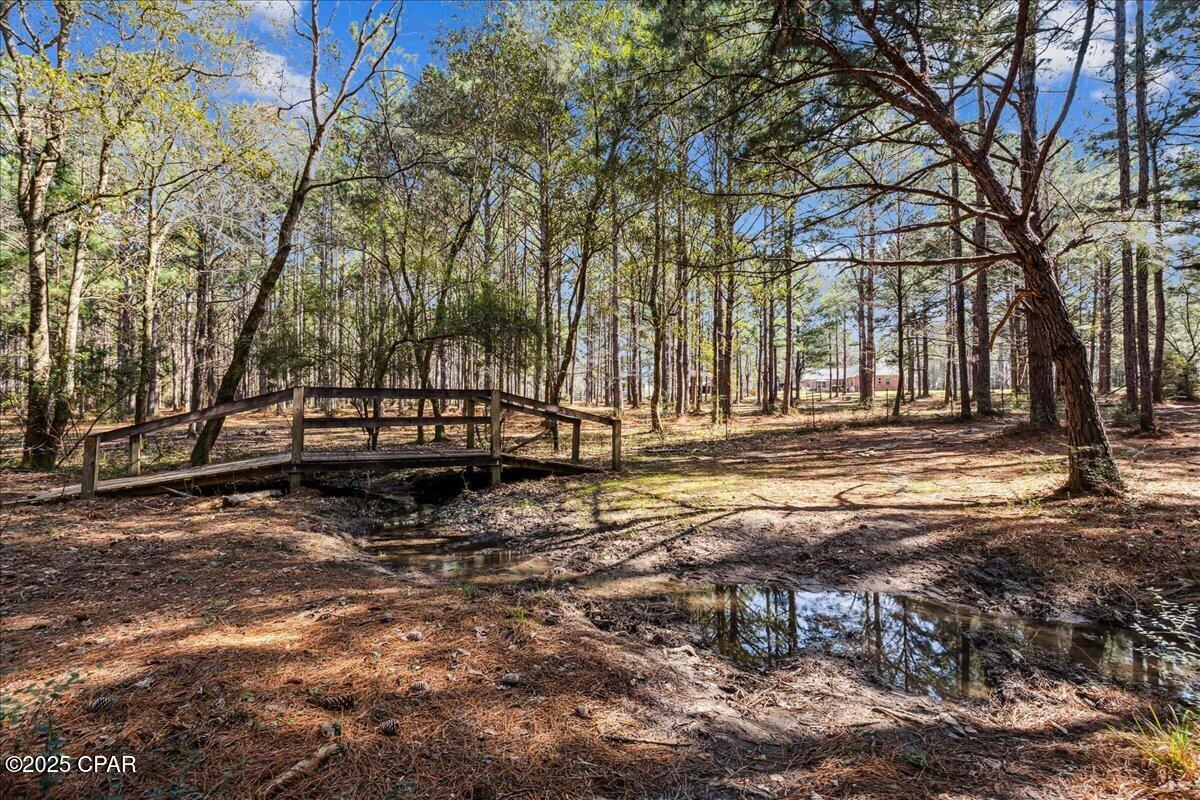 Image 85 For 1471 Hwy C 180